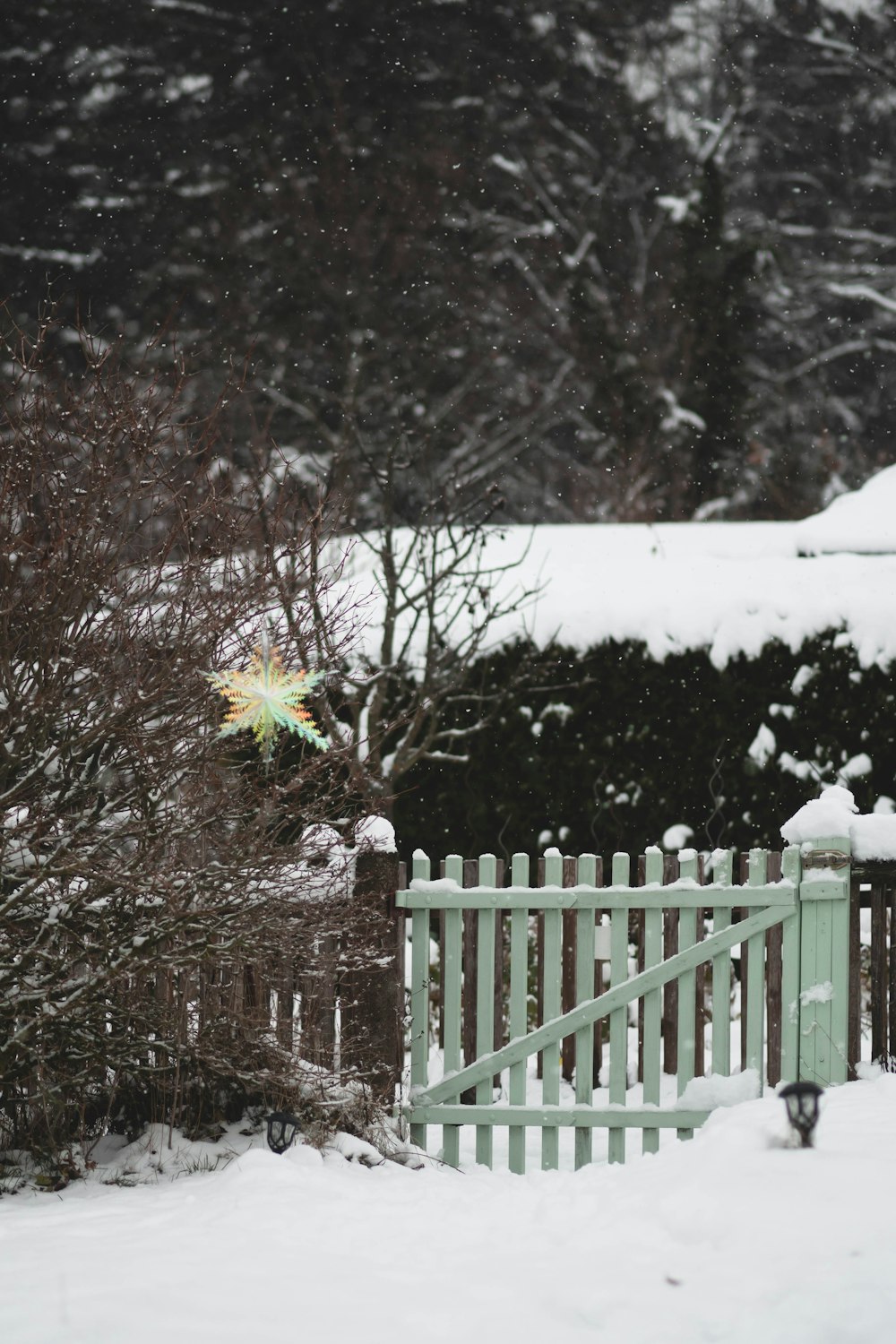 a snow covered yard with a green fence and a green fire hydrant