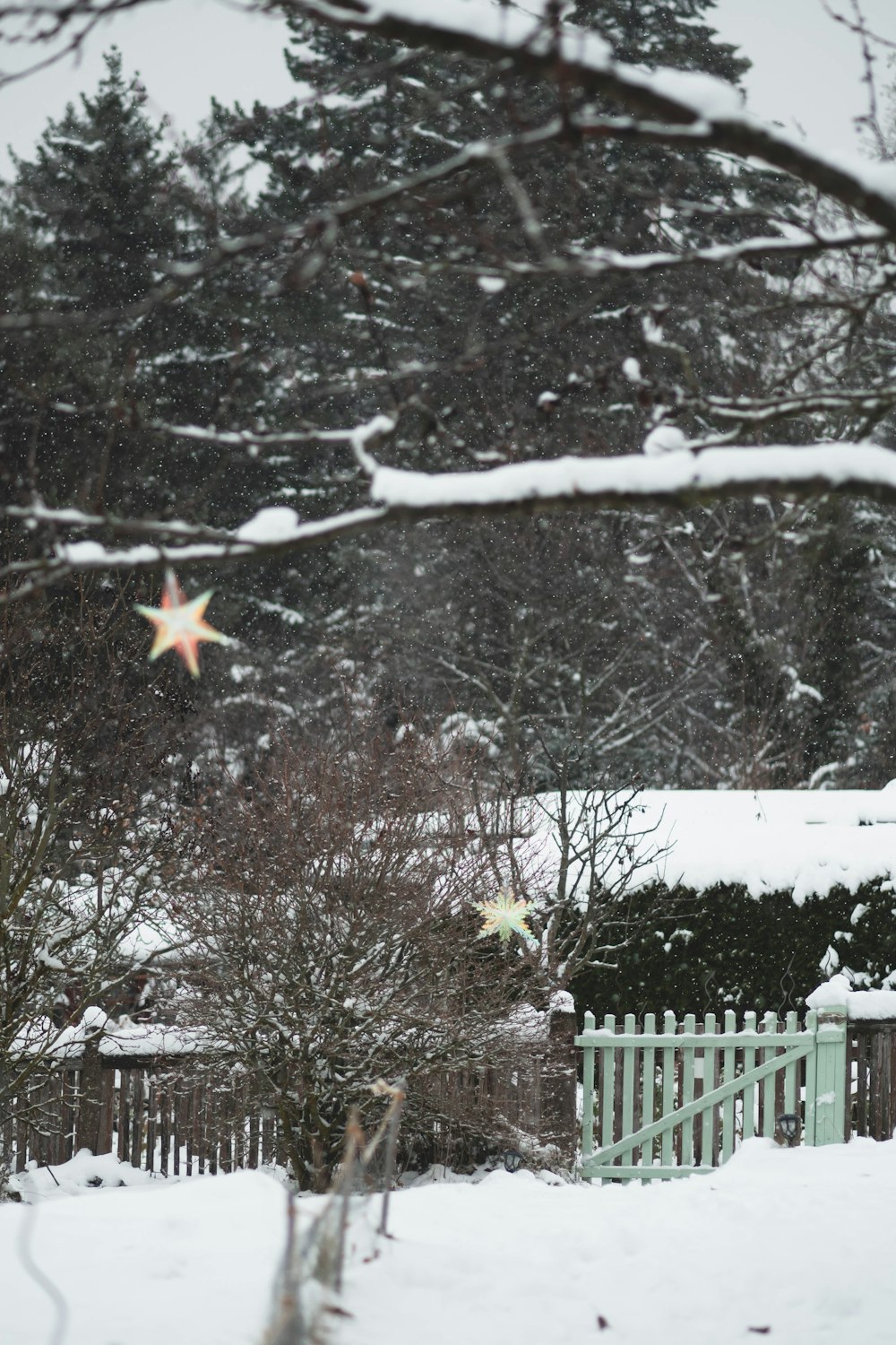 a snow covered yard with a fence and trees