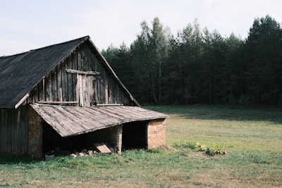 An old wooden barn with a corrugated metal roof stands next to a dense forest. The barn is partially made of brick and sits on a grassy field with a small garden patch featuring a few plants.