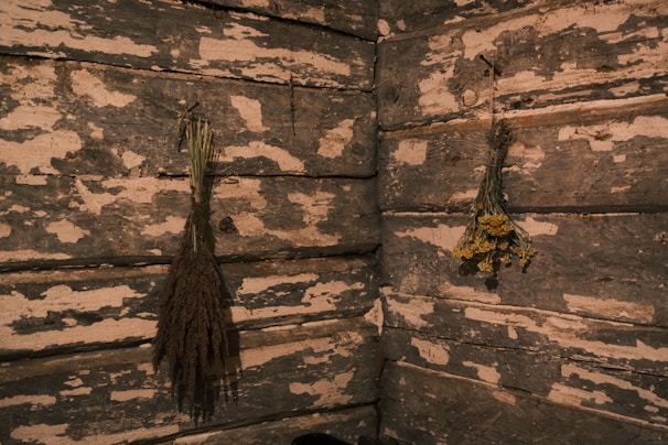 Bundles of dried medicinal plants hanging against an earthy brown textured wall.