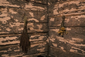 Traditional drying racks with bundles of herbs hanging in a warm, airy room.