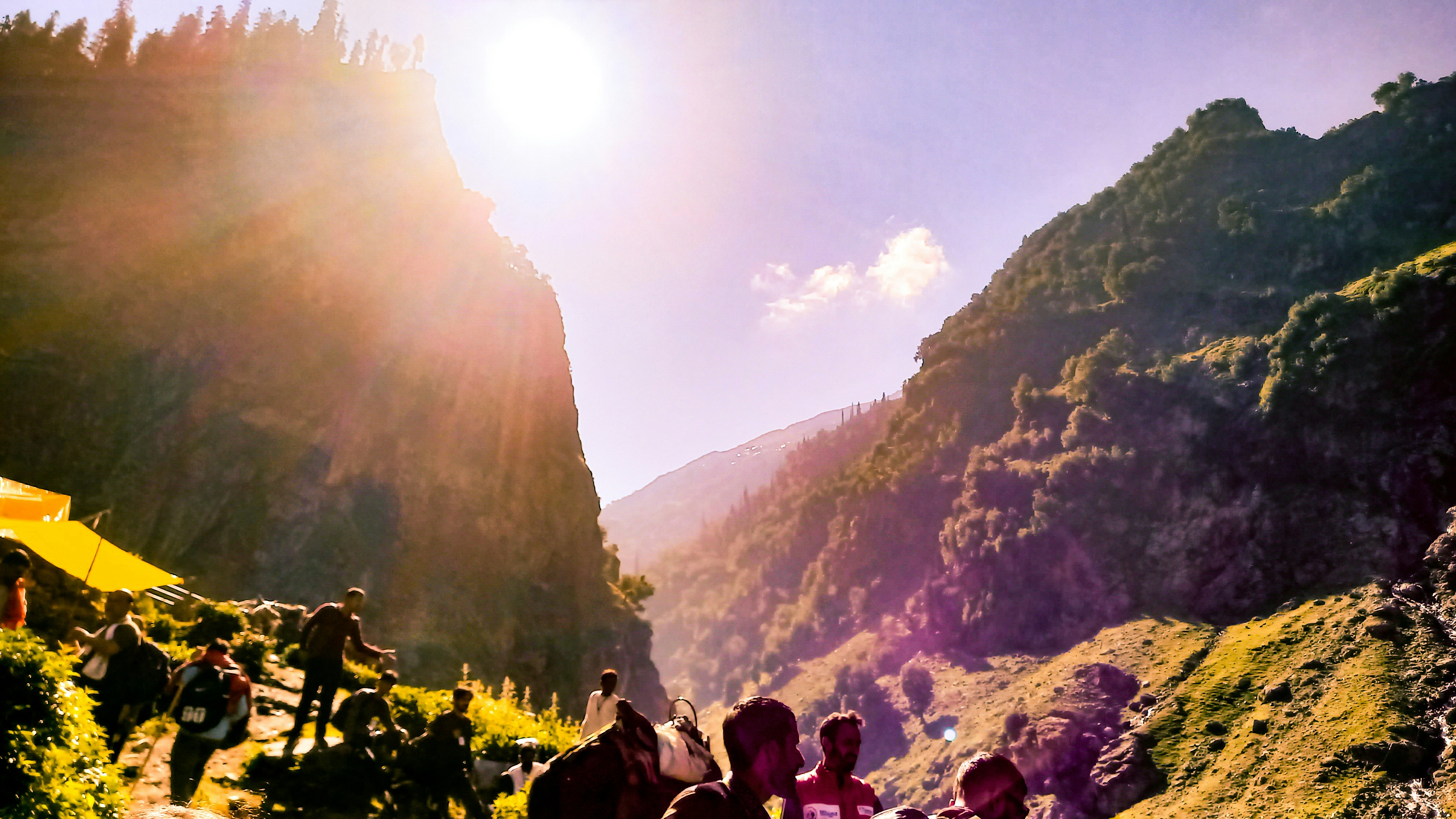 a group of people standing on top of a lush green hillside