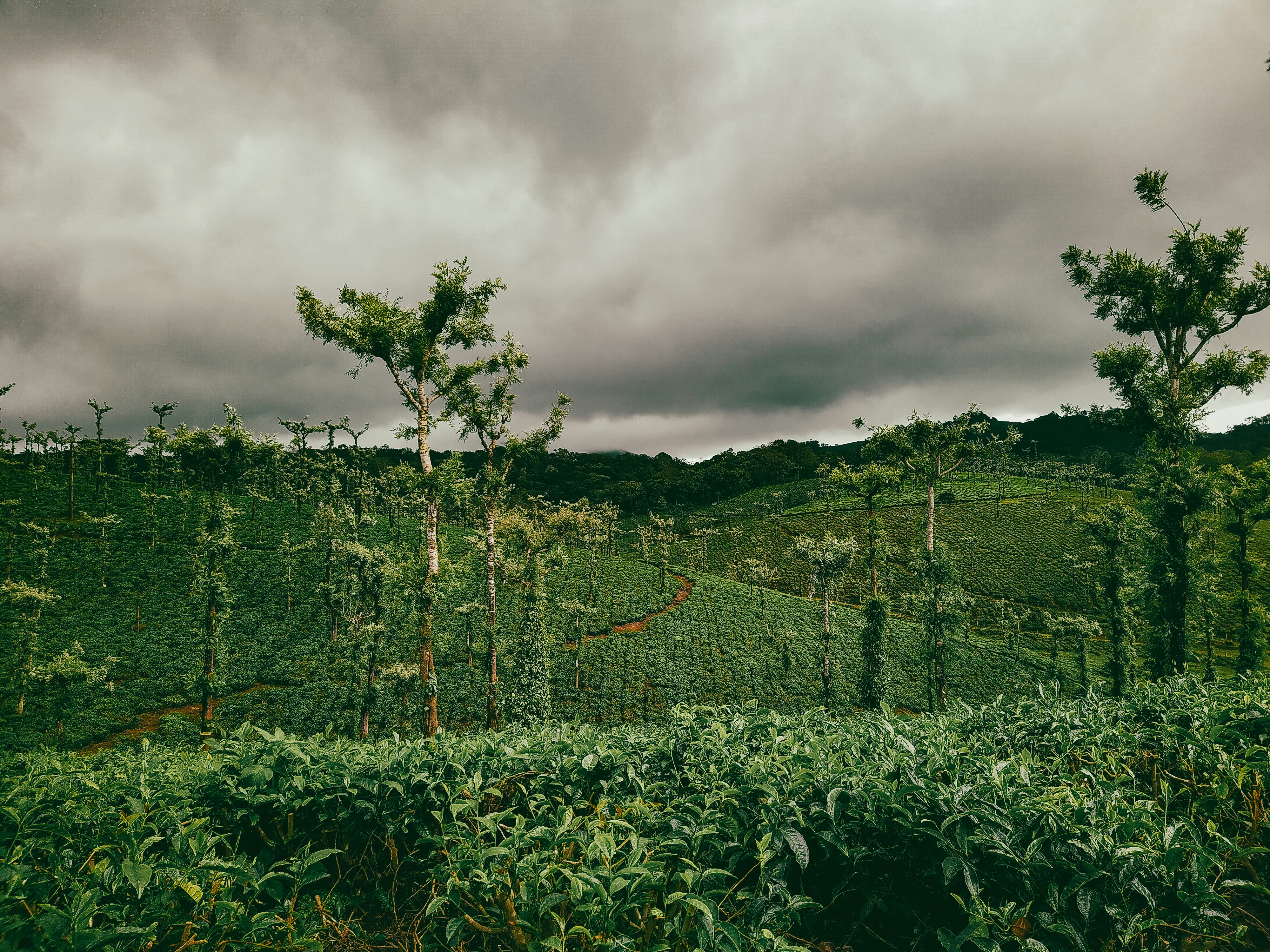 Exploring the Coldest Month in Sri Lanka: A Comprehensive Guide