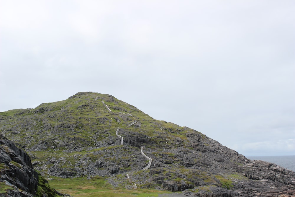 a grassy hill with a path going up it