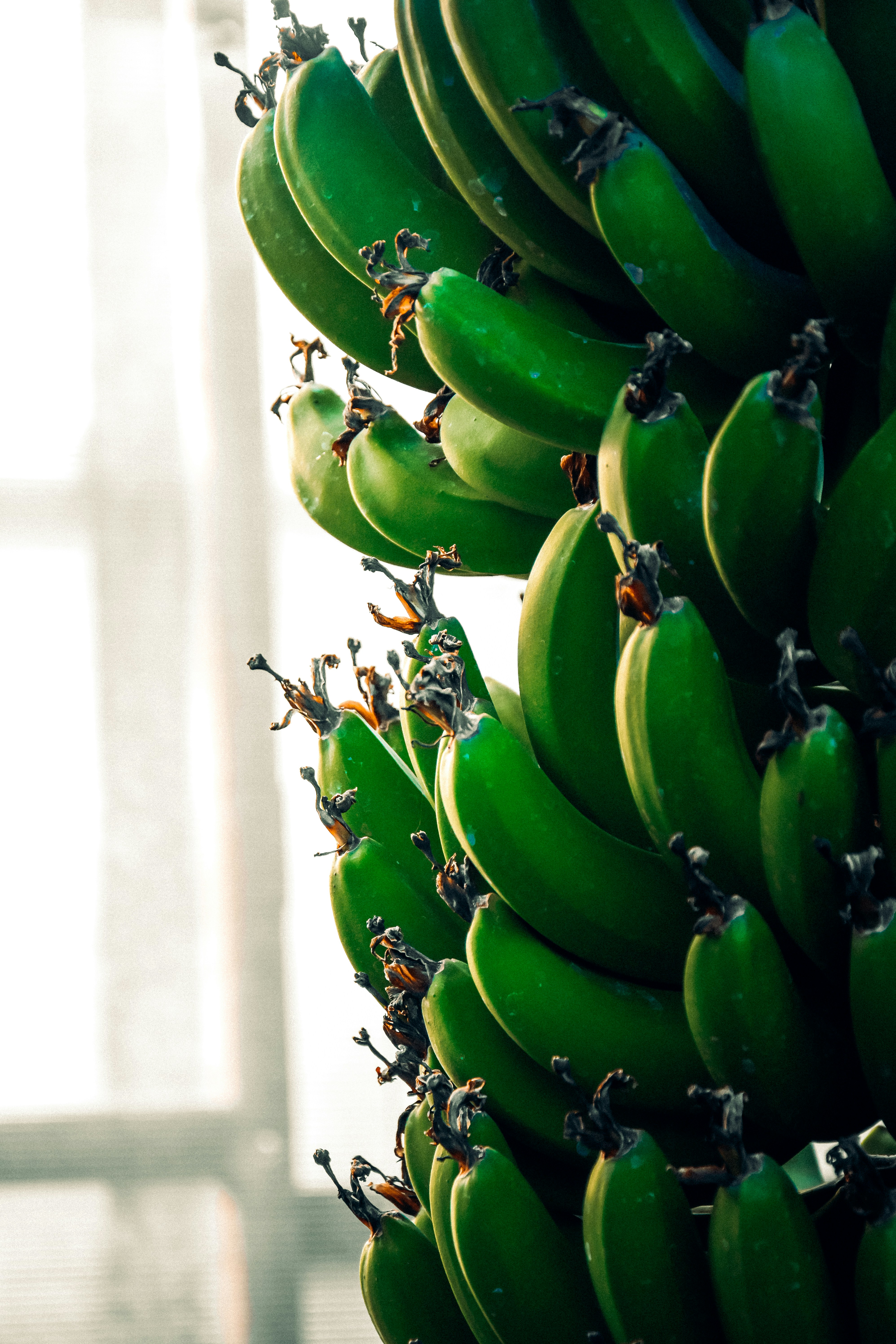 Photo by impermanent