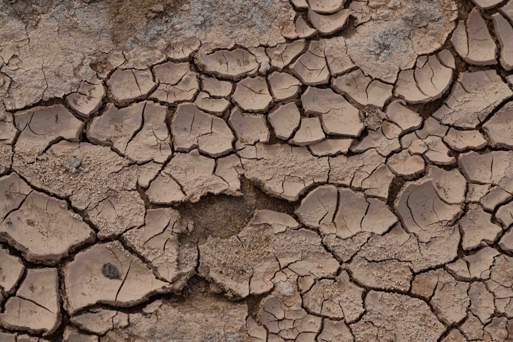 a close up of a cracked surface of dirt