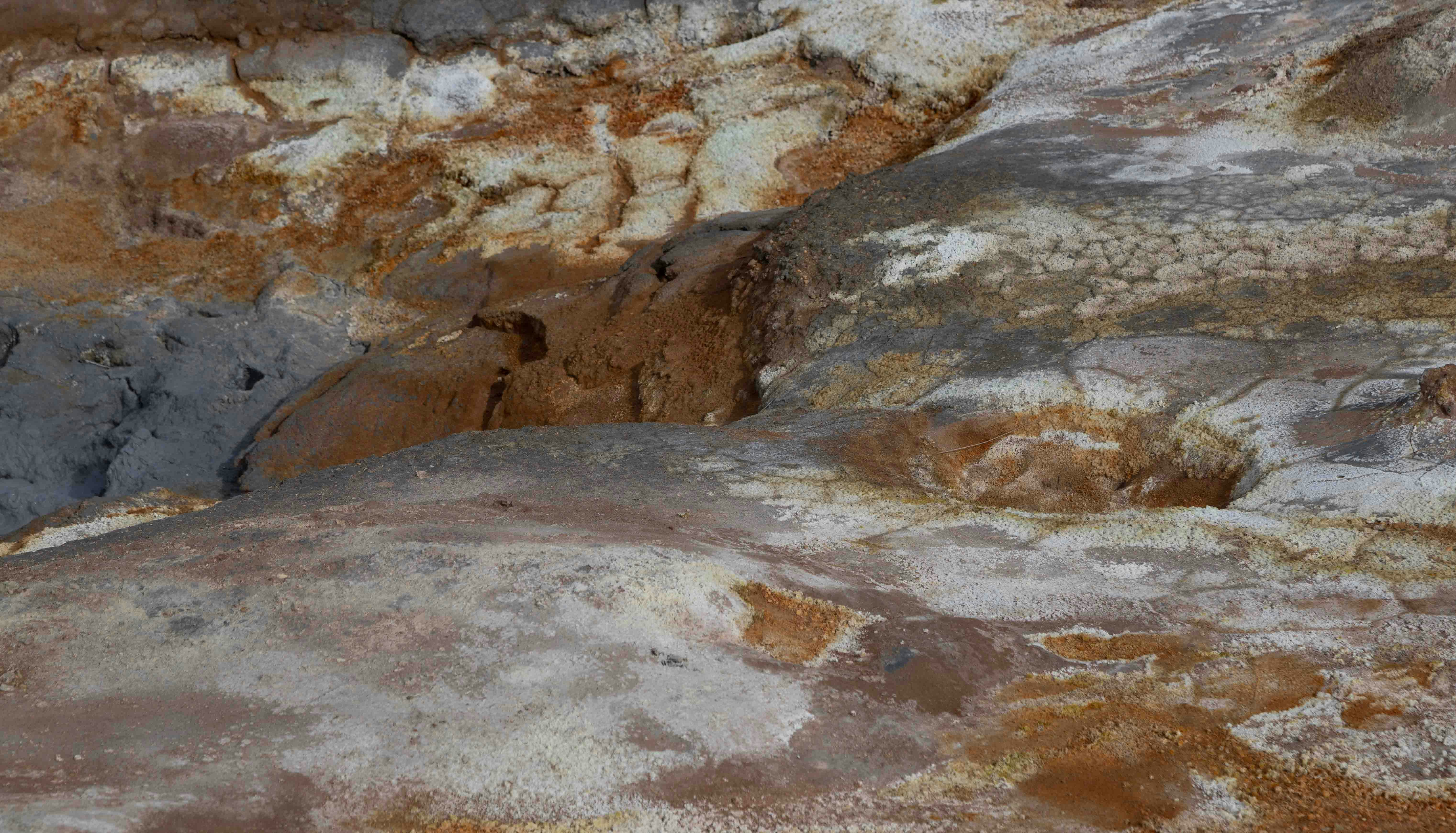 Mineral Wealth: Food for Alien Life (image credits: unsplash)