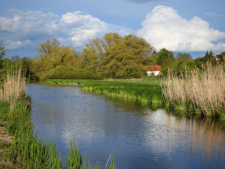 Serene river flows through lush green landscape, reflecting surrounding trees and houses perfectly