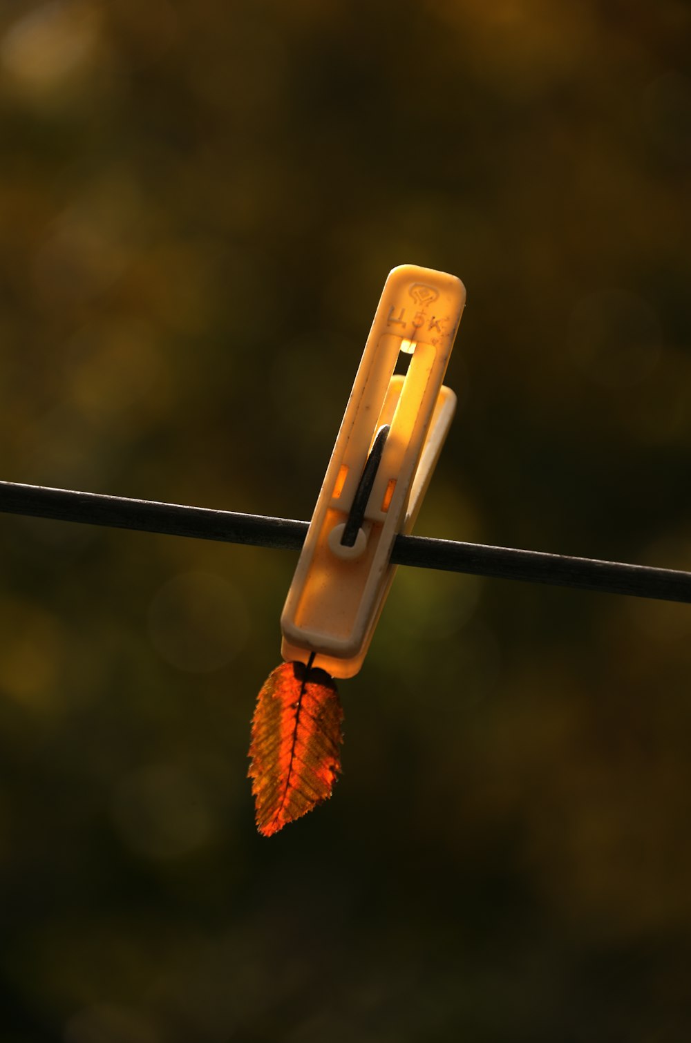 a close up of an orange object on a wire