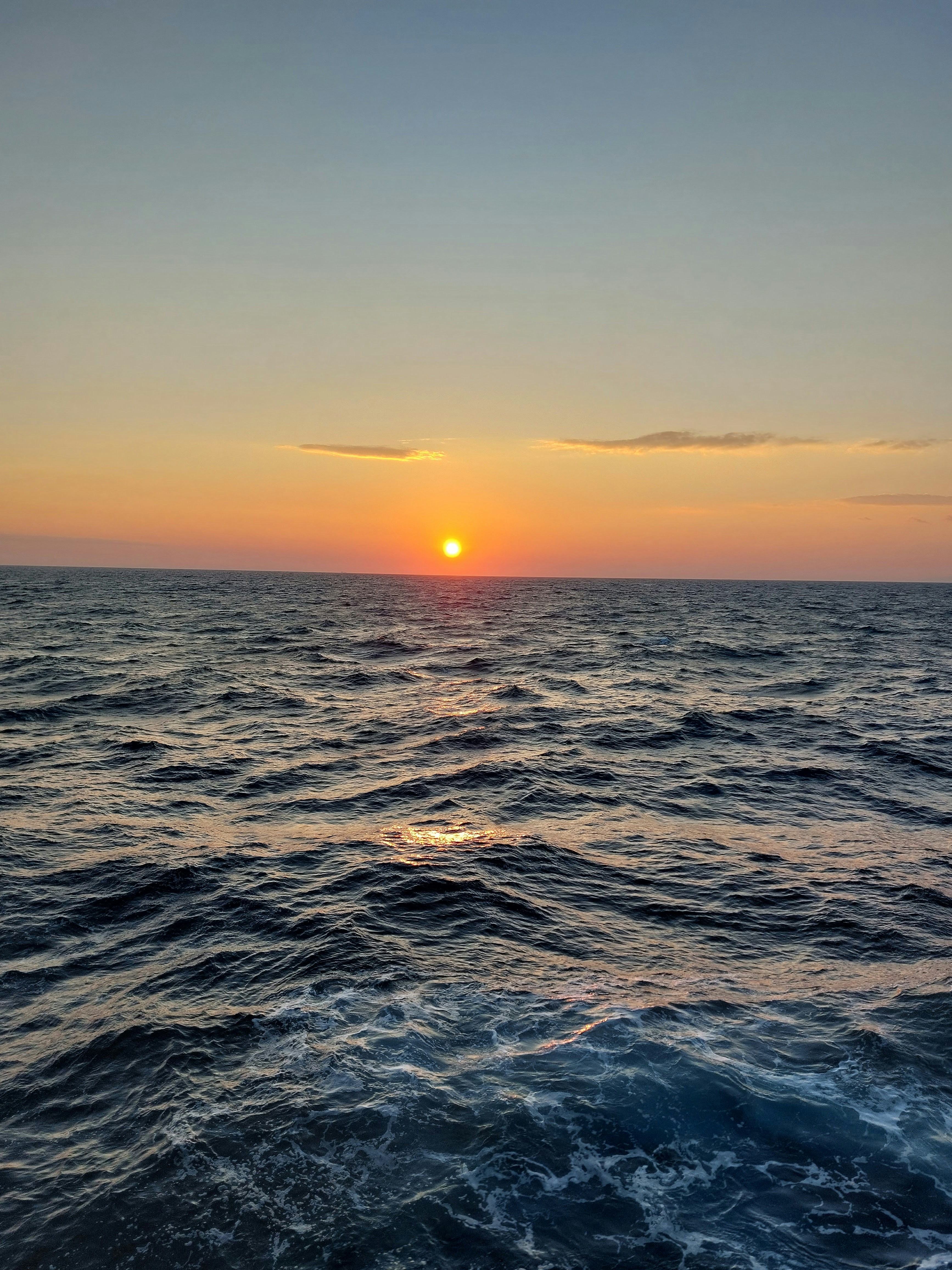 Photo by elvis_gonsalves