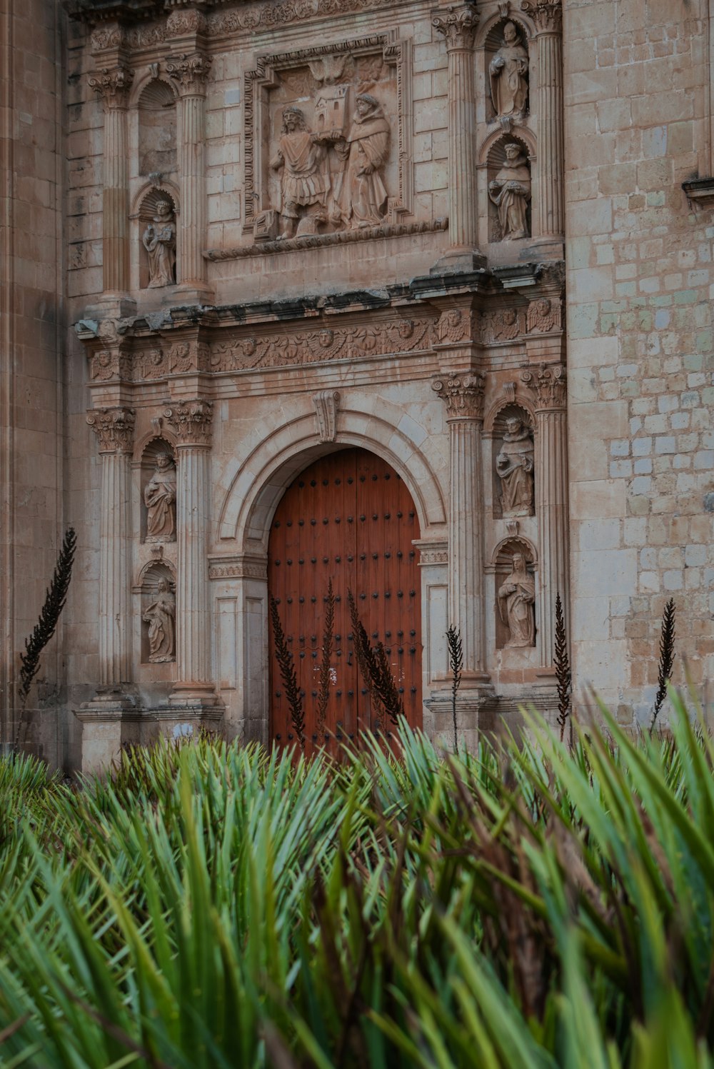 a building with a red door surrounded by tall grass