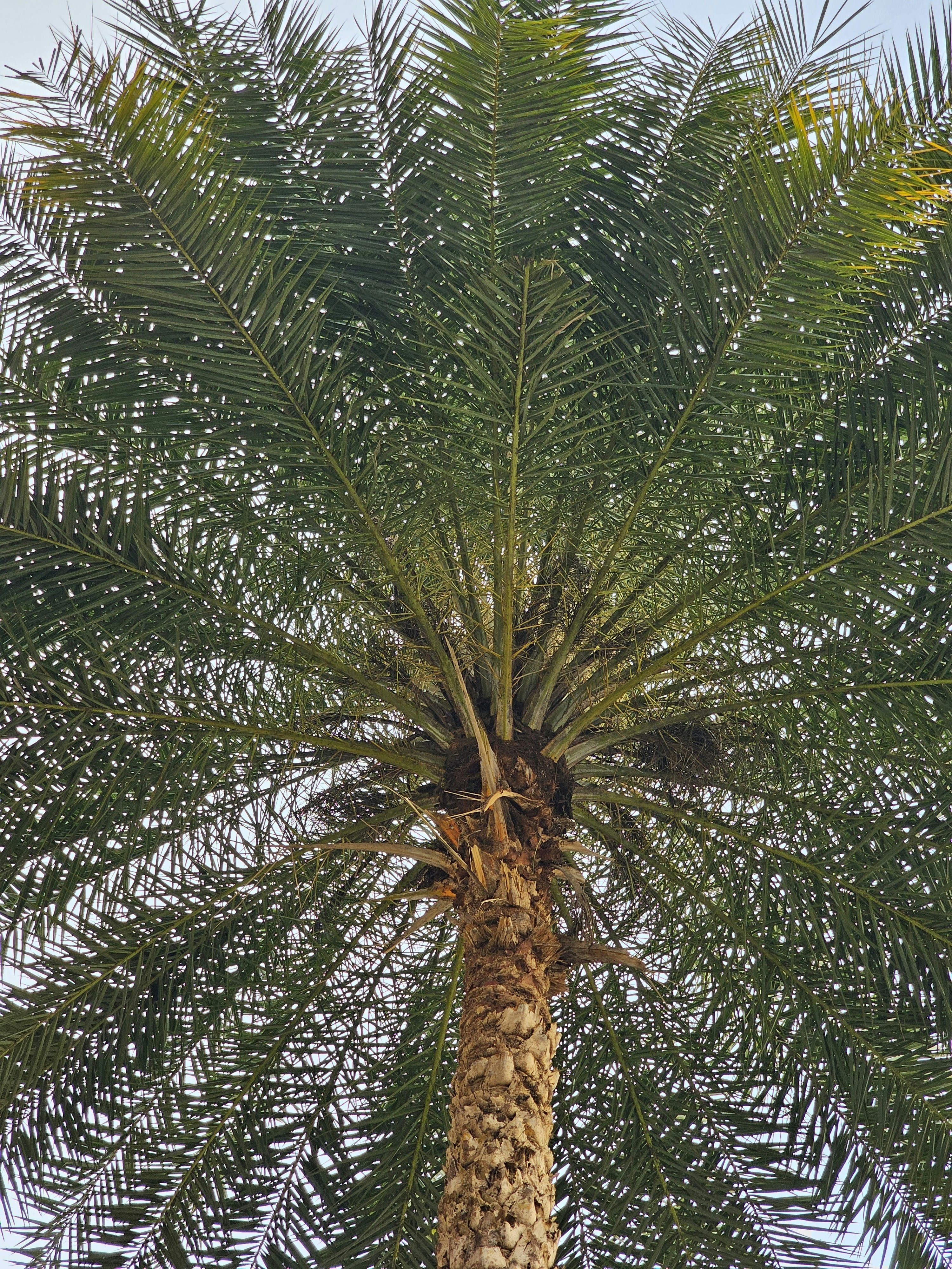 Photo by elvis_gonsalves