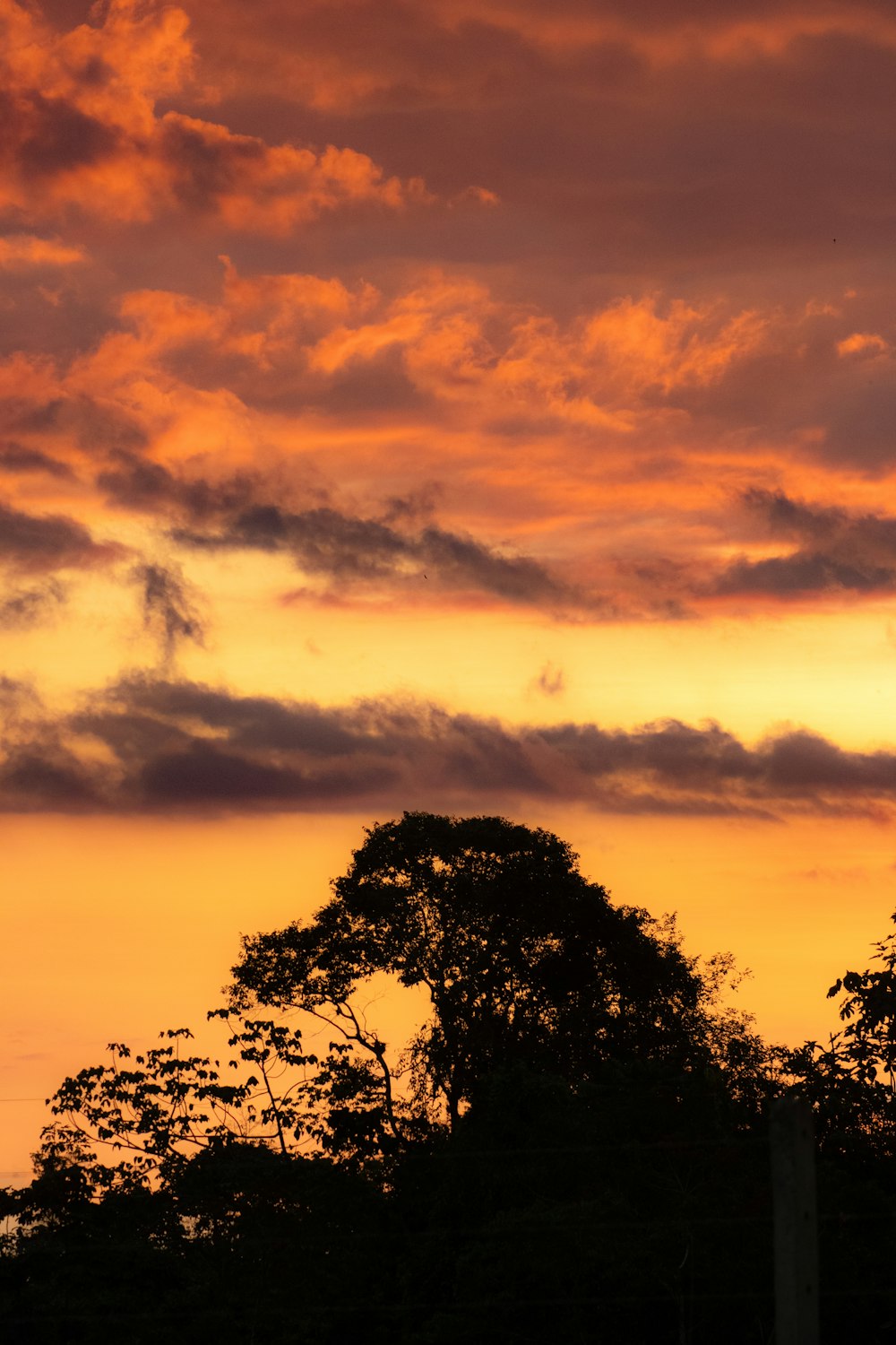 a plane flying in the sky at sunset