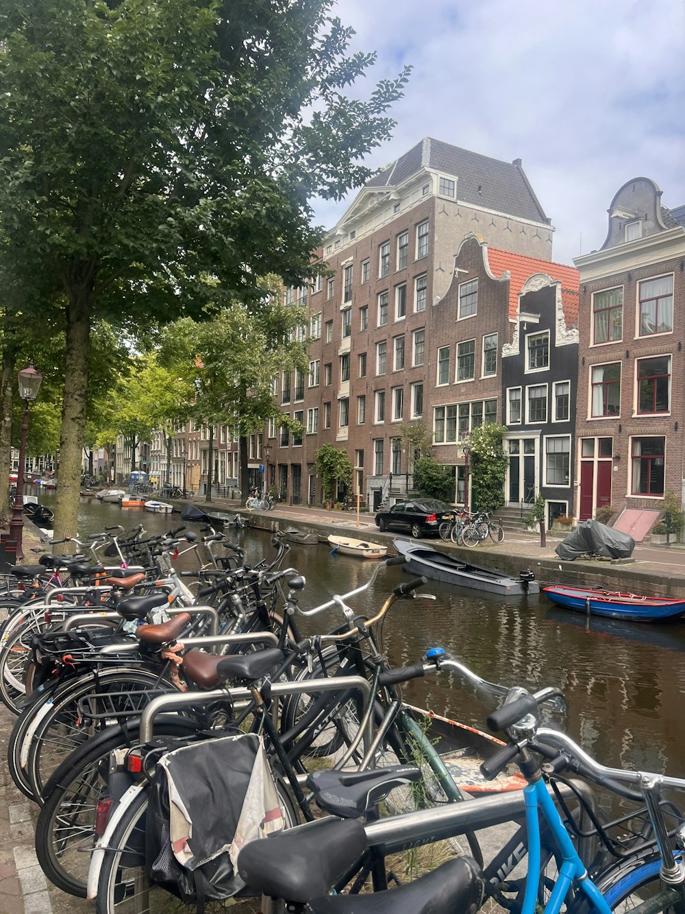 a row of bikes parked next to each other on a sidewalk