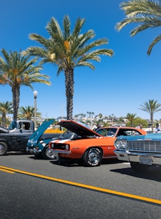 A row of classic cars displayed outdoors on a sunny day.
