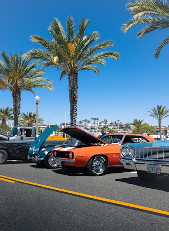A lineup of colorful cars parked at a classic car show in a sunny park.