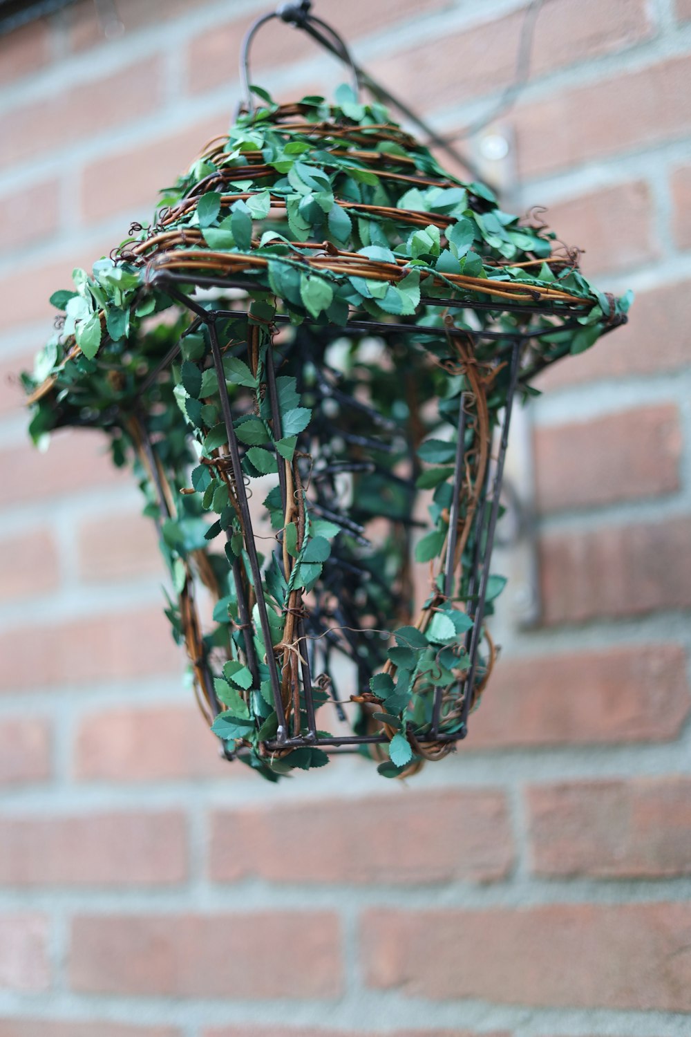 a bird feeder with a bunch of green leaves hanging from it