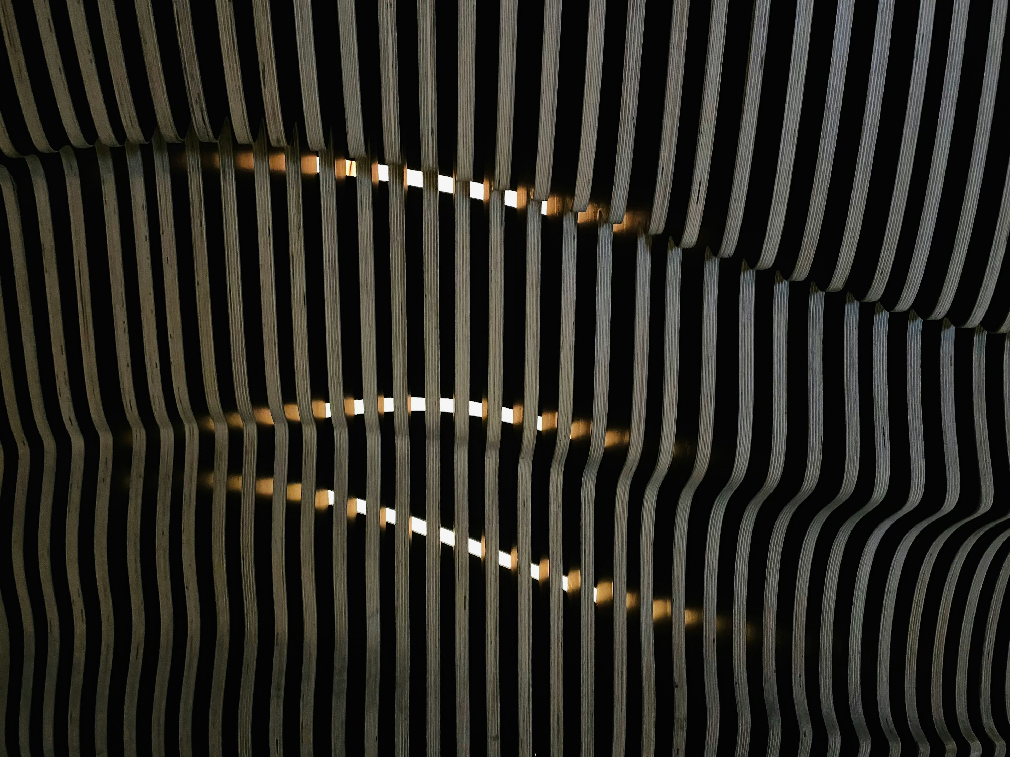 Photo by tashakostyuk