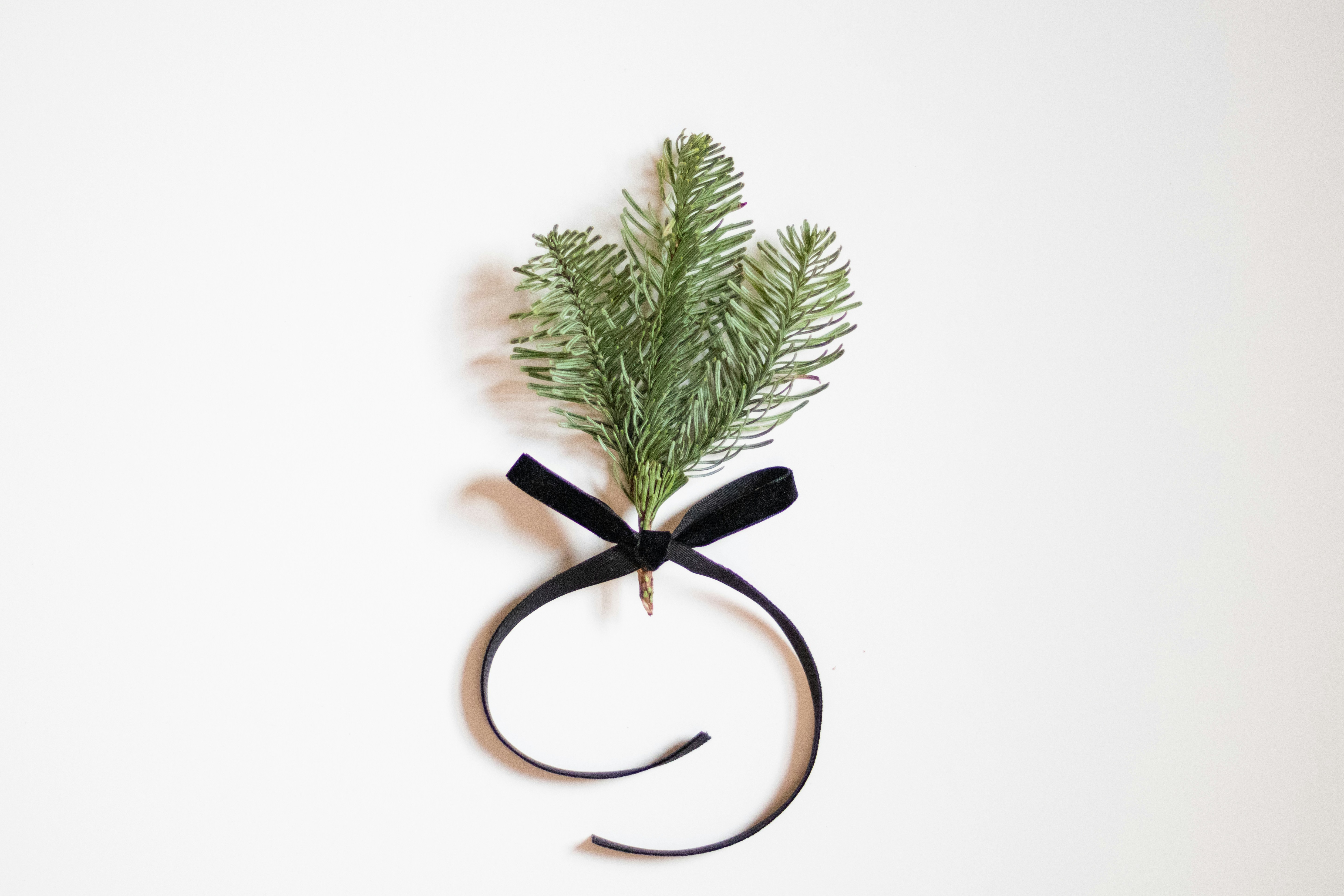 Photo by fionamurrayphoto