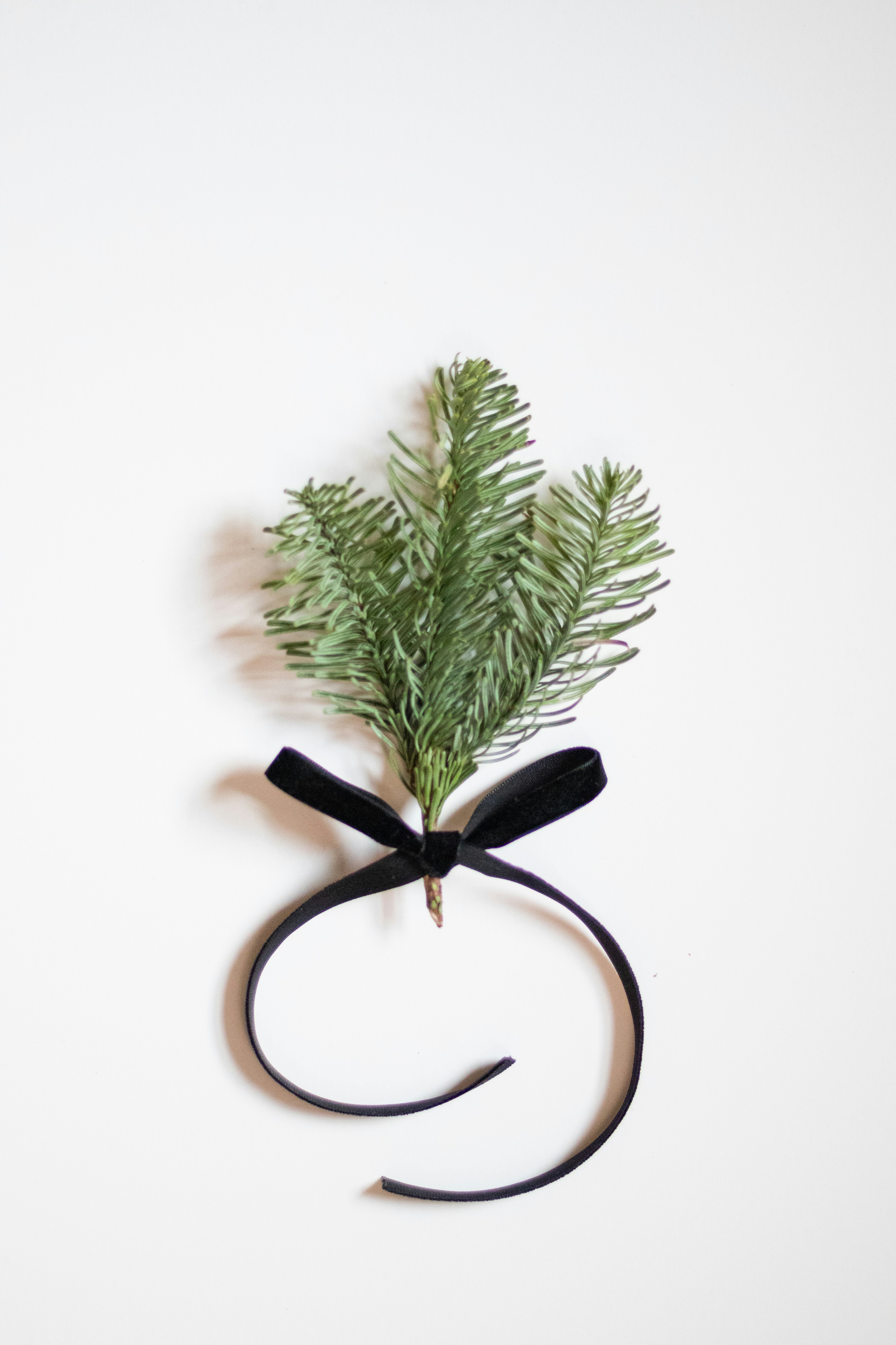 Photo by fionamurrayphoto