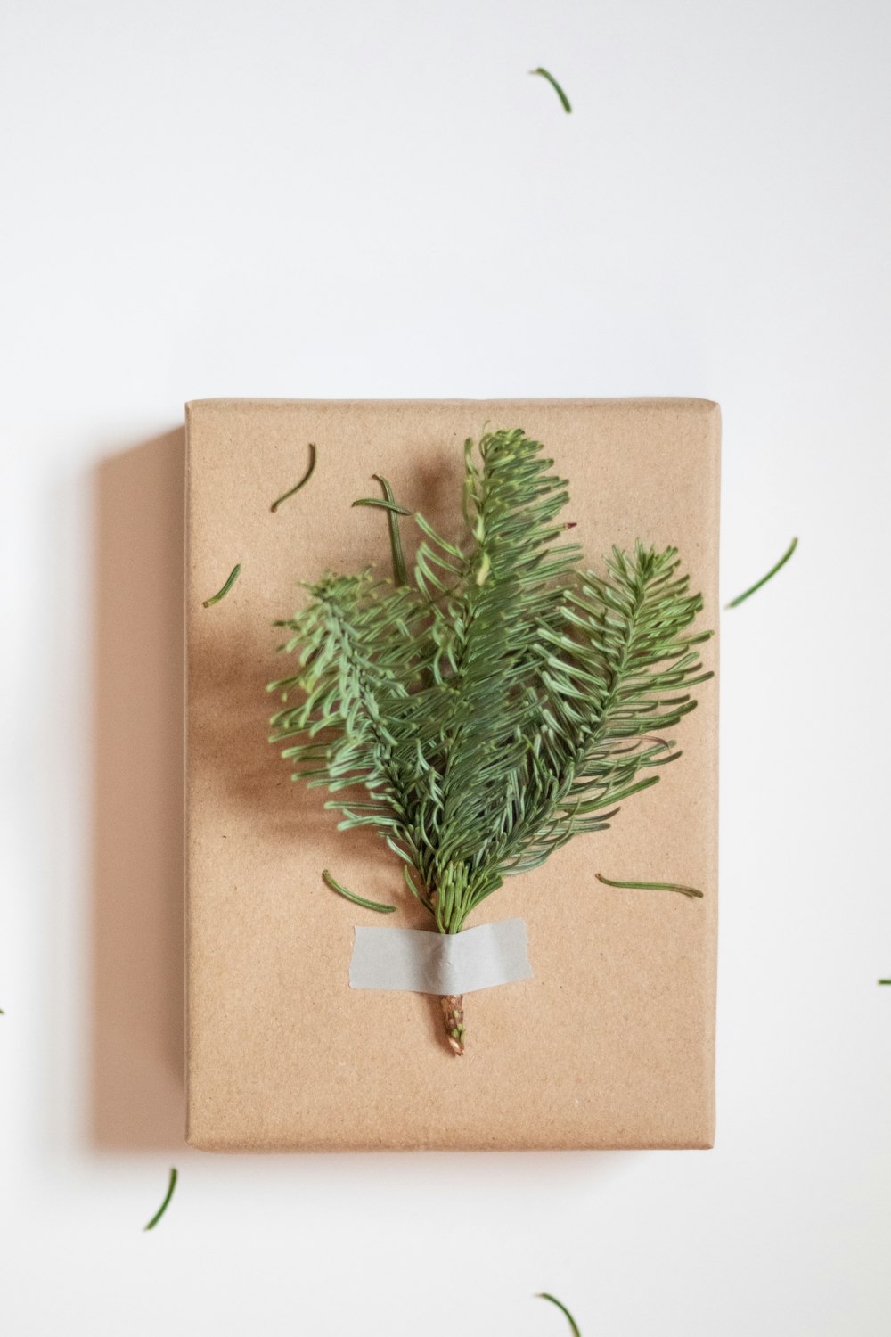 a present wrapped in brown paper with a green plant on it