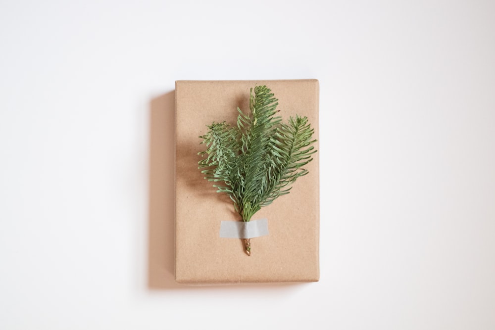 a wrapped present with a plant on top of it