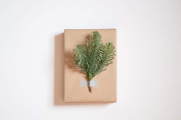 Kraft wrapping paper rolls — brown paper food wrap