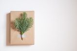 A neatly wrapped gift with a brown paper covering, adorned with a small sprig of evergreen foliage taped to the center. The background is plain and light-colored, emphasizing the simplicity and elegance of the gift arrangement.