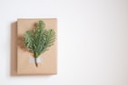 A neatly wrapped gift with a brown paper covering, adorned with a small sprig of evergreen foliage taped to the center. The background is plain and light-colored, emphasizing the simplicity and elegance of the gift arrangement.