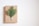 A neatly wrapped gift with a brown paper covering, adorned with a small sprig of evergreen foliage taped to the center. The background is plain and light-colored, emphasizing the simplicity and elegance of the gift arrangement.