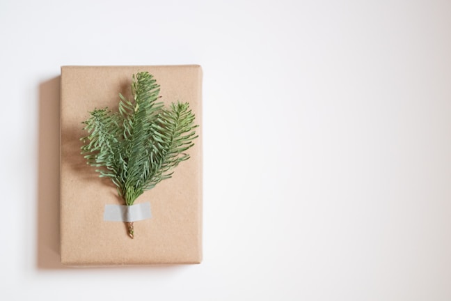 A neatly wrapped gift with a brown paper covering, adorned with a small sprig of evergreen foliage taped to the center. The background is plain and light-colored, emphasizing the simplicity and elegance of the gift arrangement.