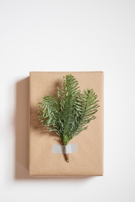 A brown paper-wrapped package is adorned with a sprig of green foliage, secured with a piece of white tape. The scene is minimalistic against a plain white background.