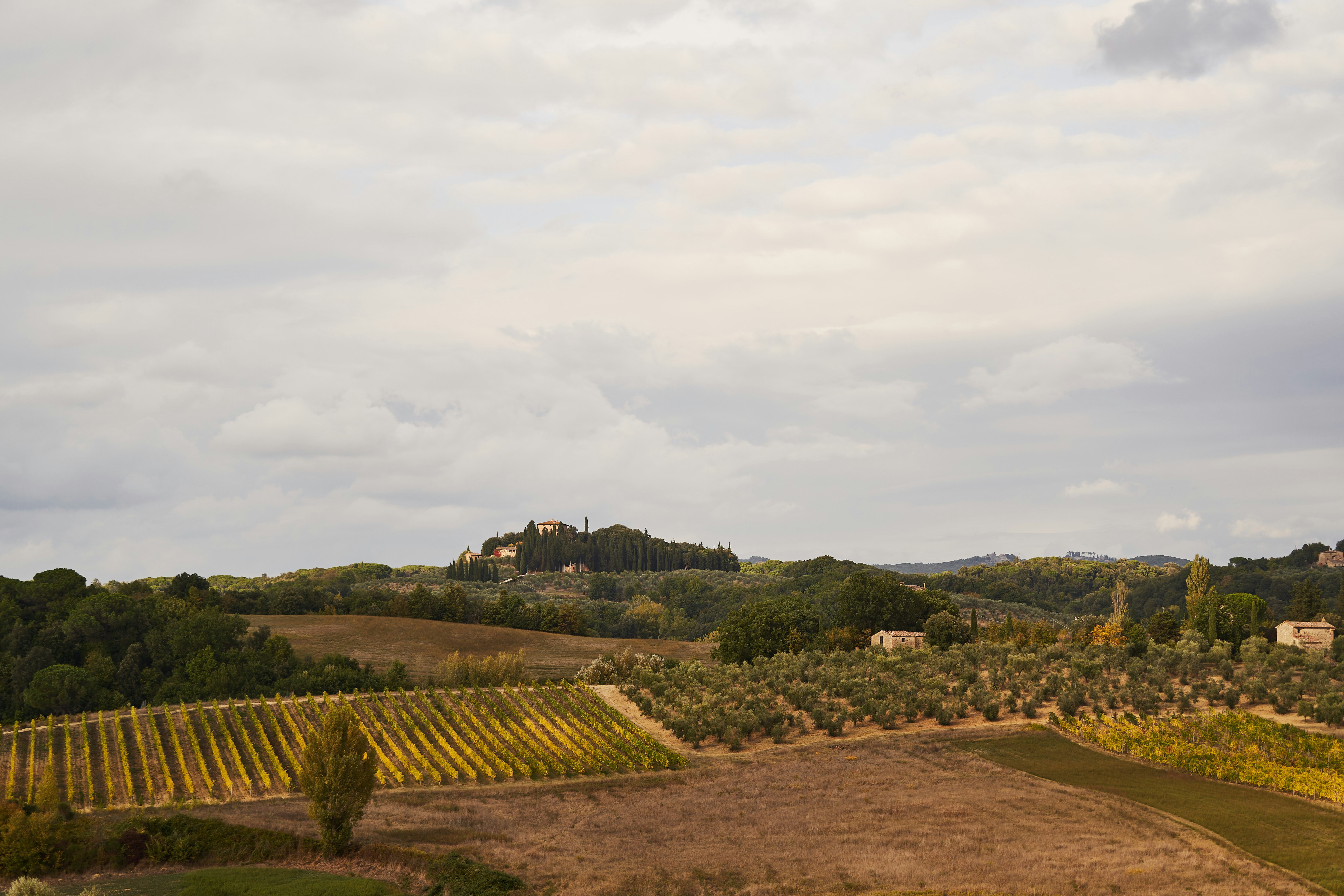 Photo by wolfgang_hasselmann