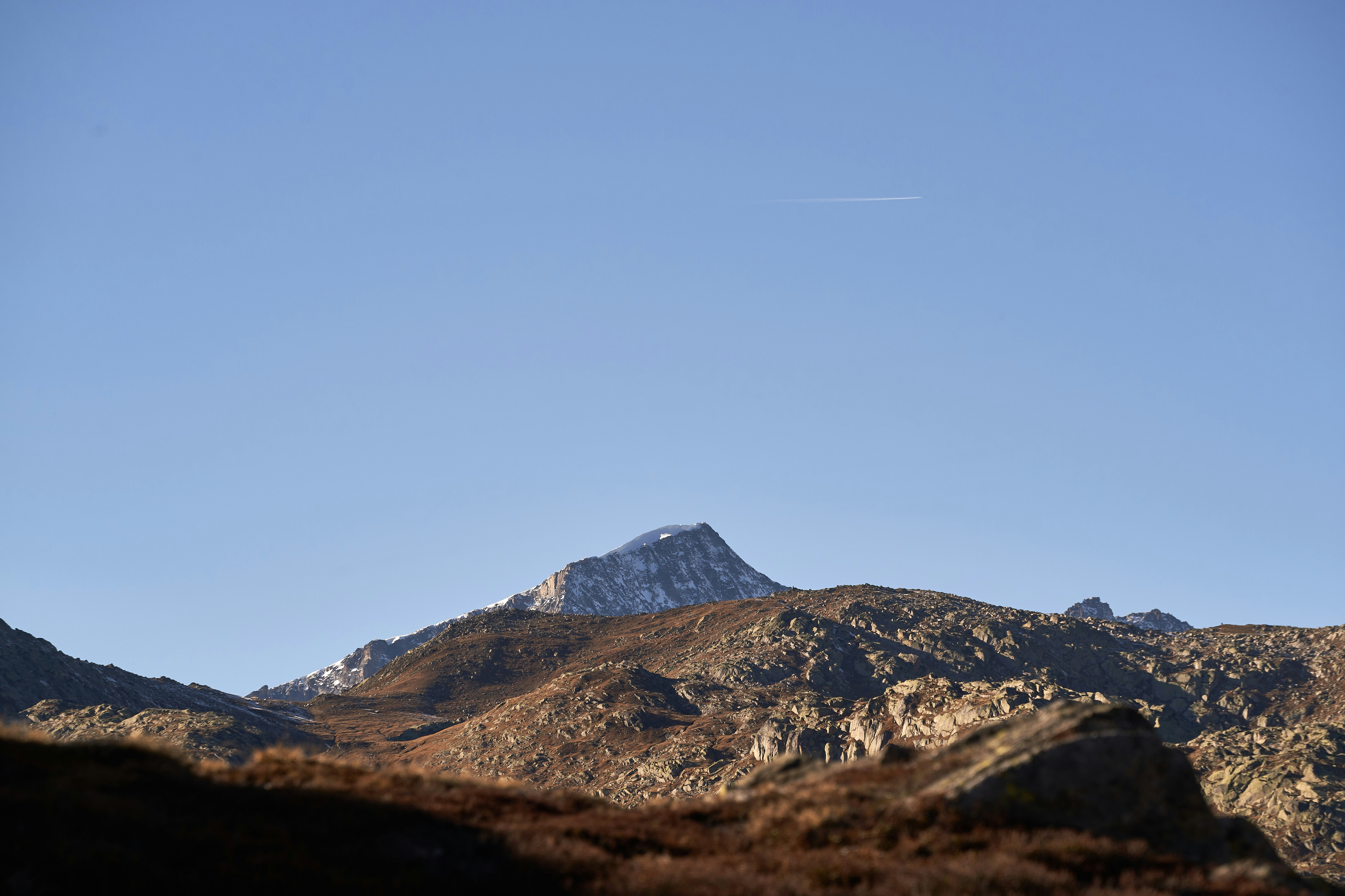 Photo by wolfgang_hasselmann