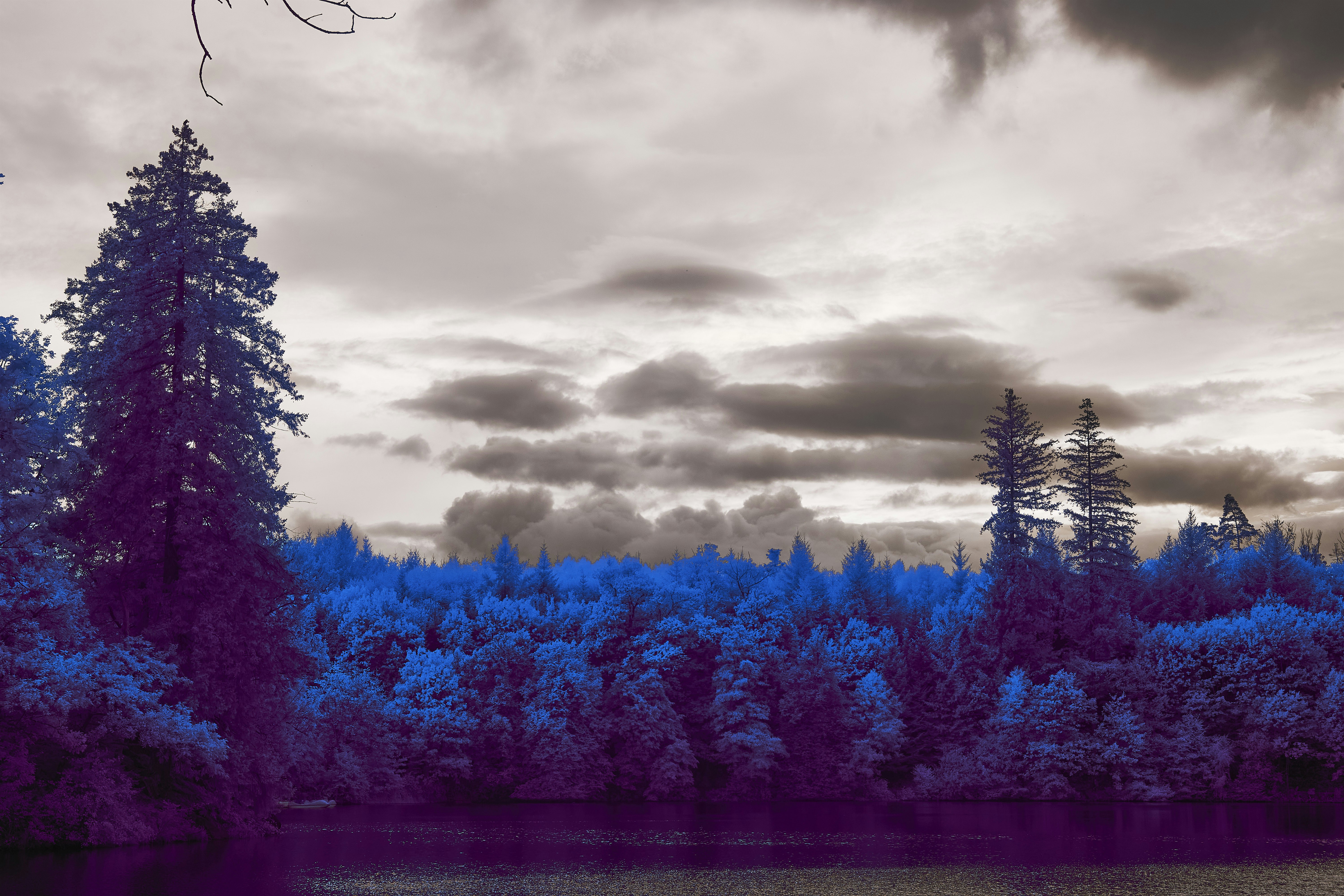 Photo by wolfgang_hasselmann