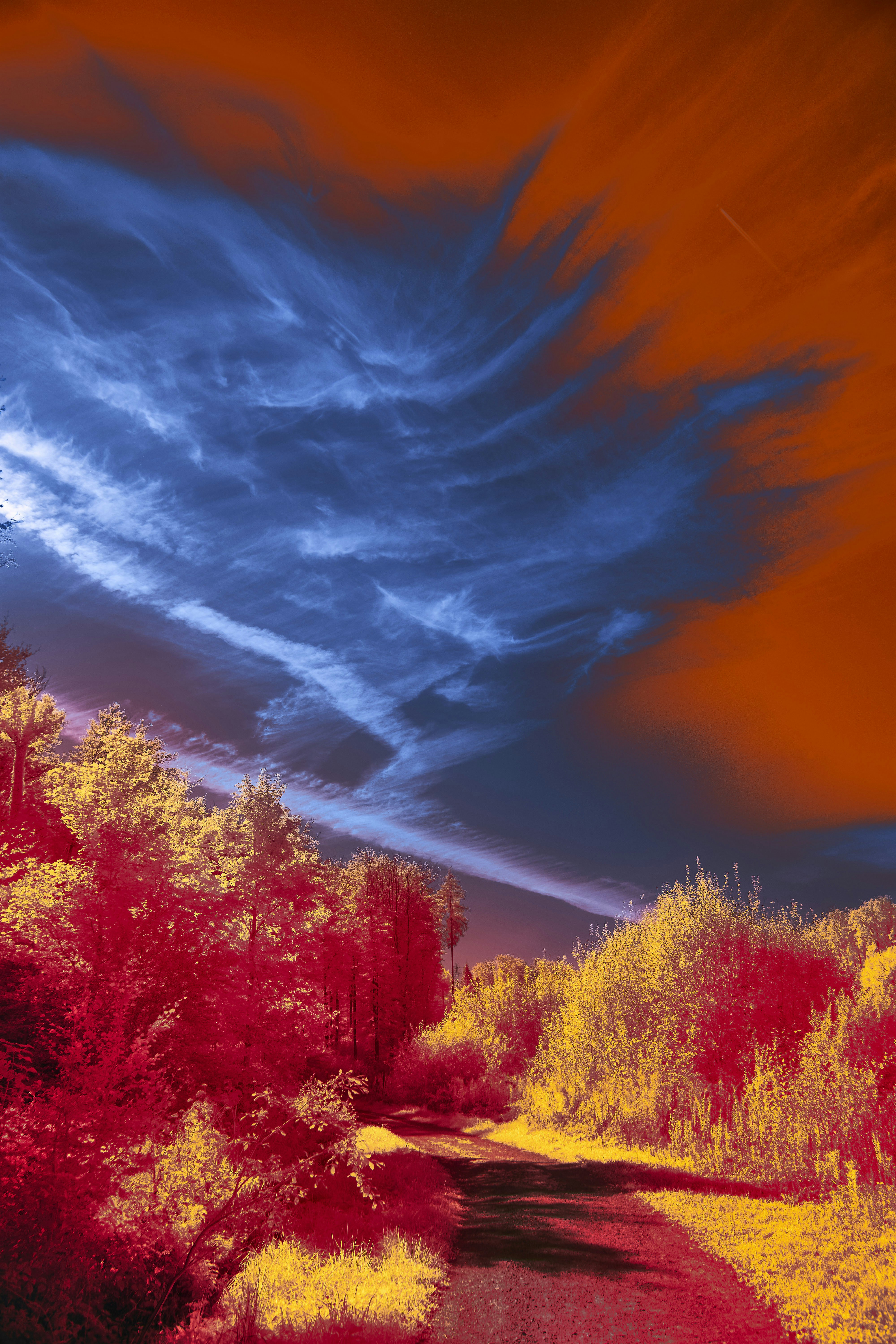 Photo by wolfgang_hasselmann