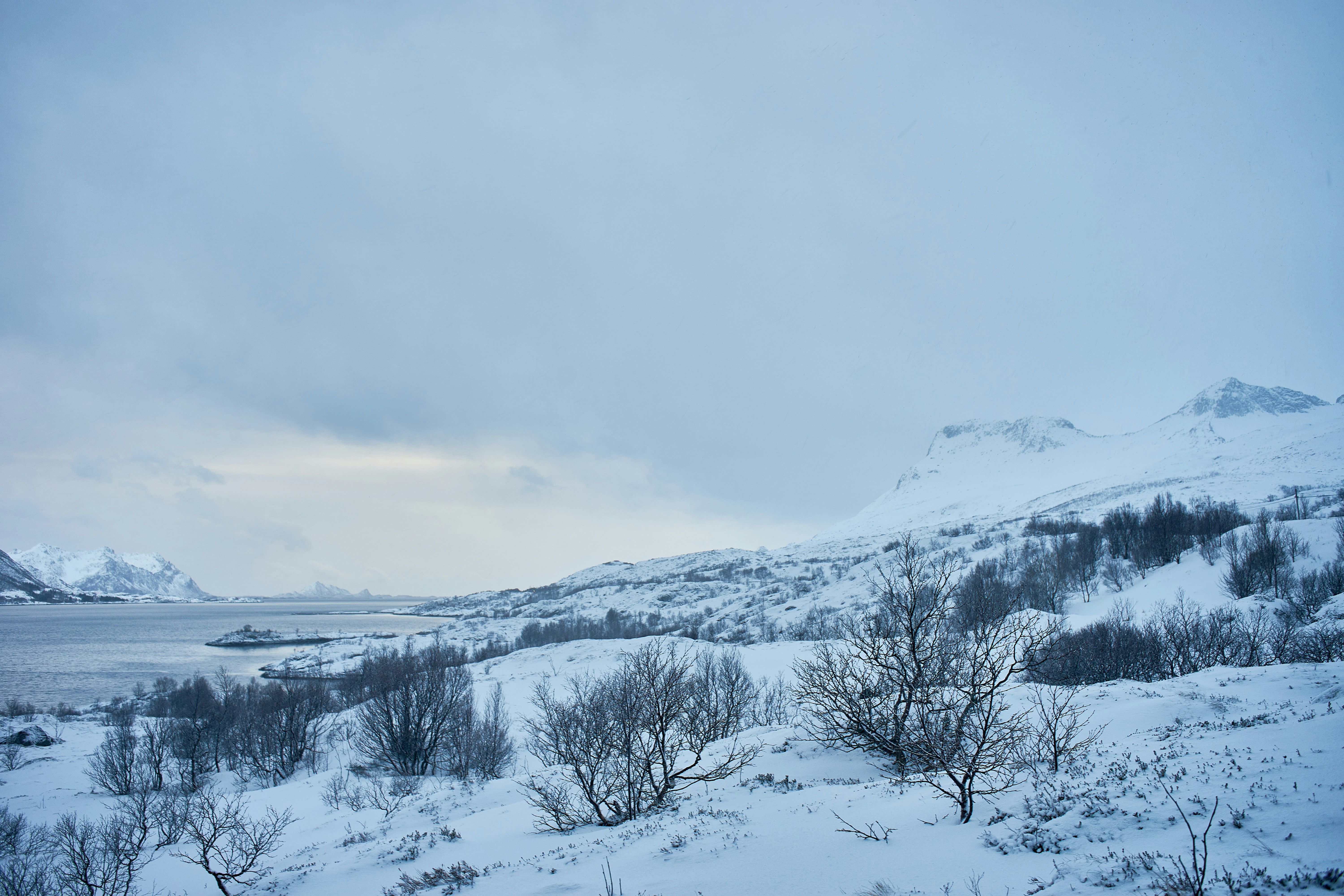 Photo by wolfgang_hasselmann