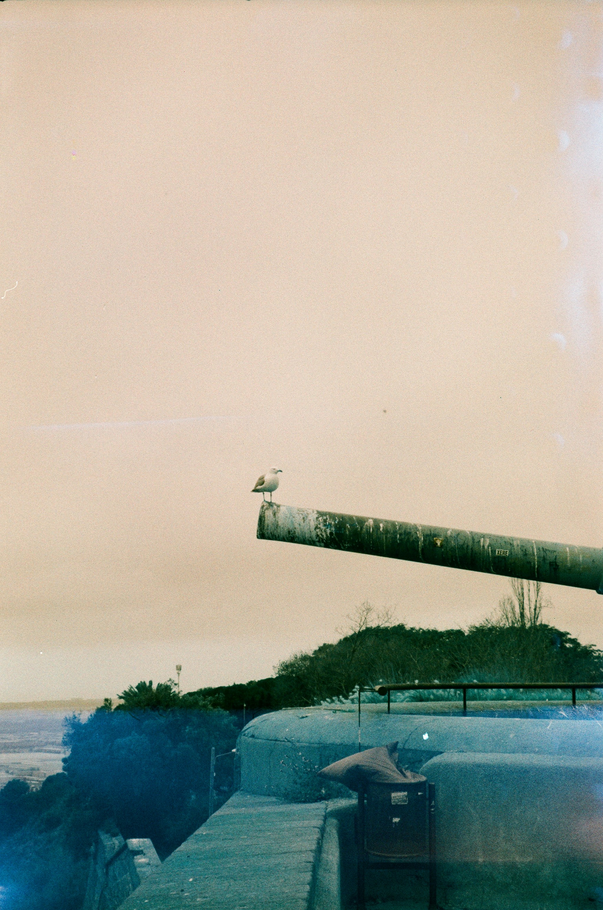 lomochrome turquoise + Olympus mju zoom