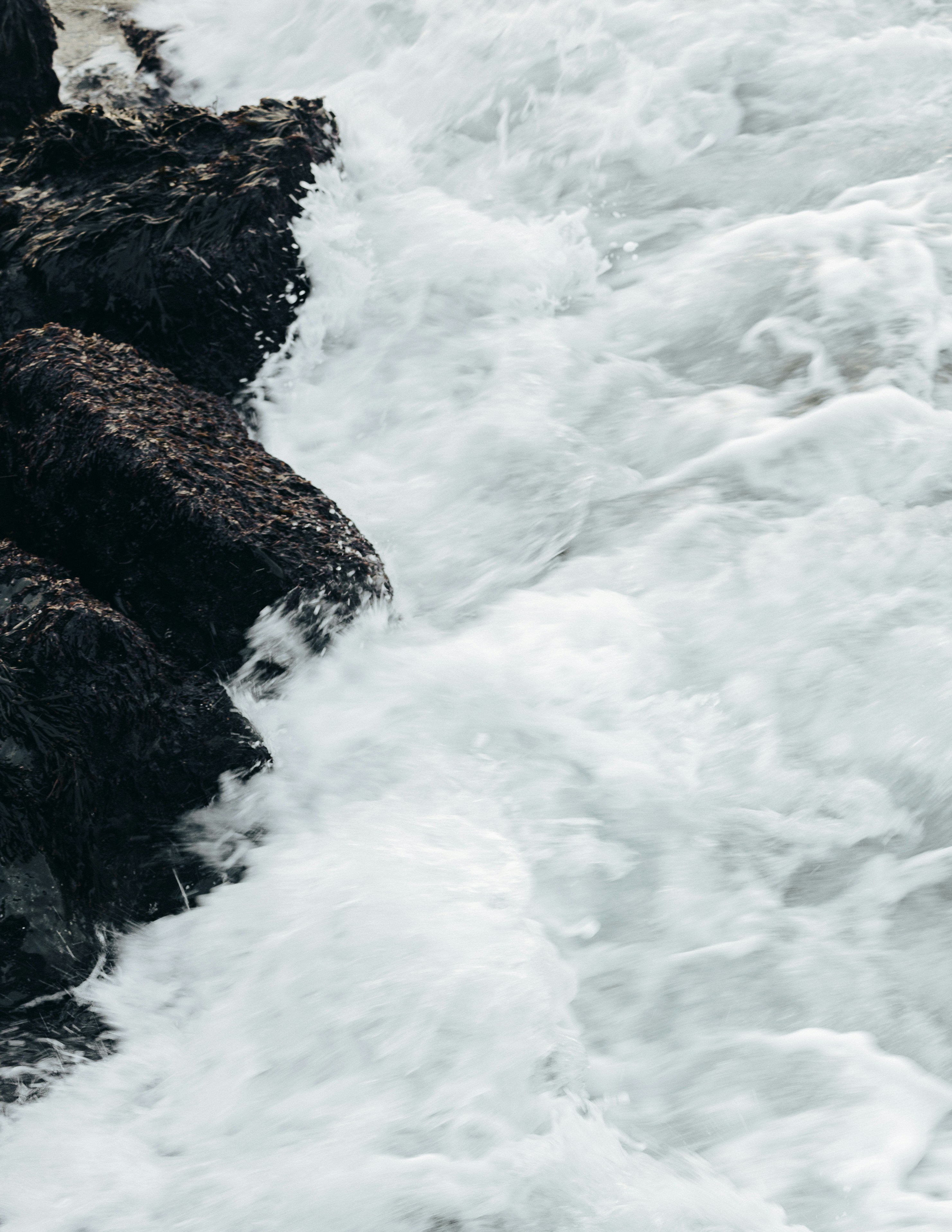 Photo by robertarnar