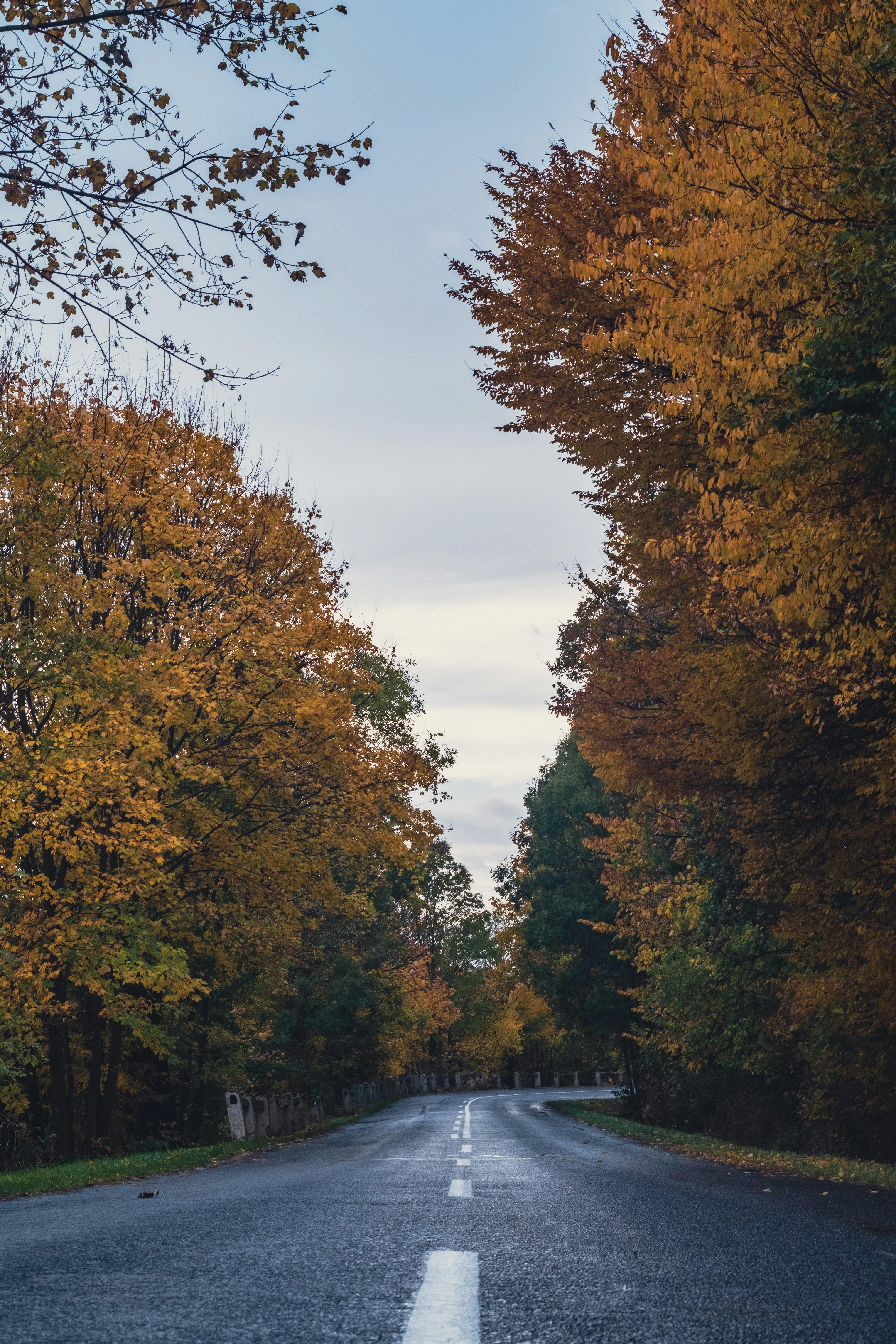 Photo by tulacsucson