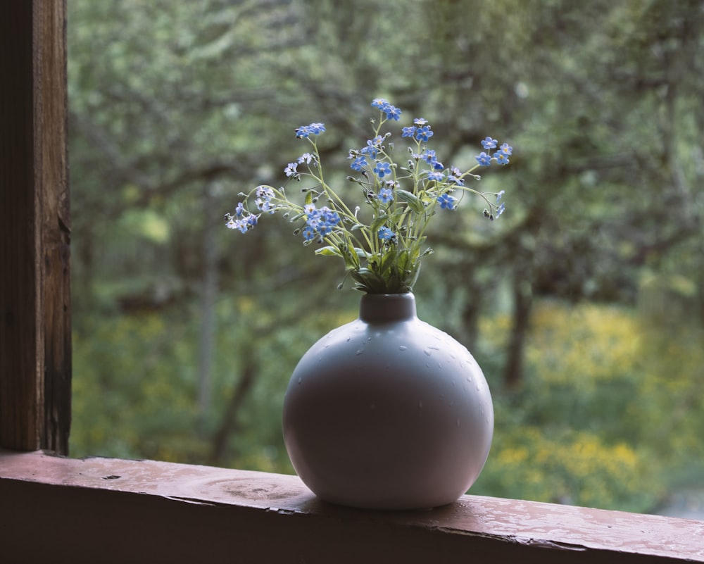 a vase filled with blue flowers sitting on a window sill