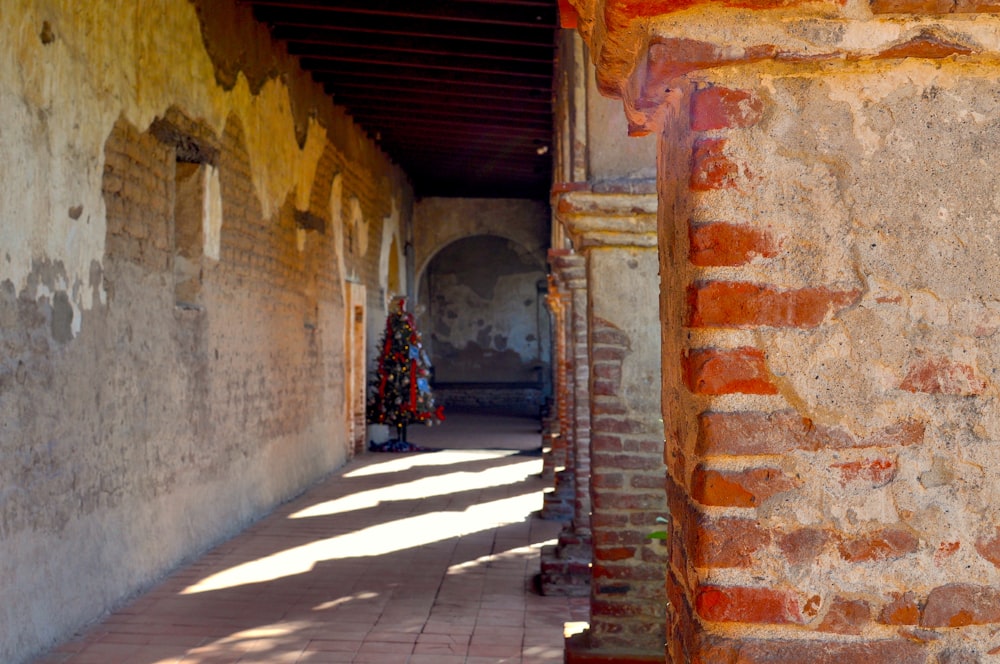 a hallway with a brick wall and a small tree