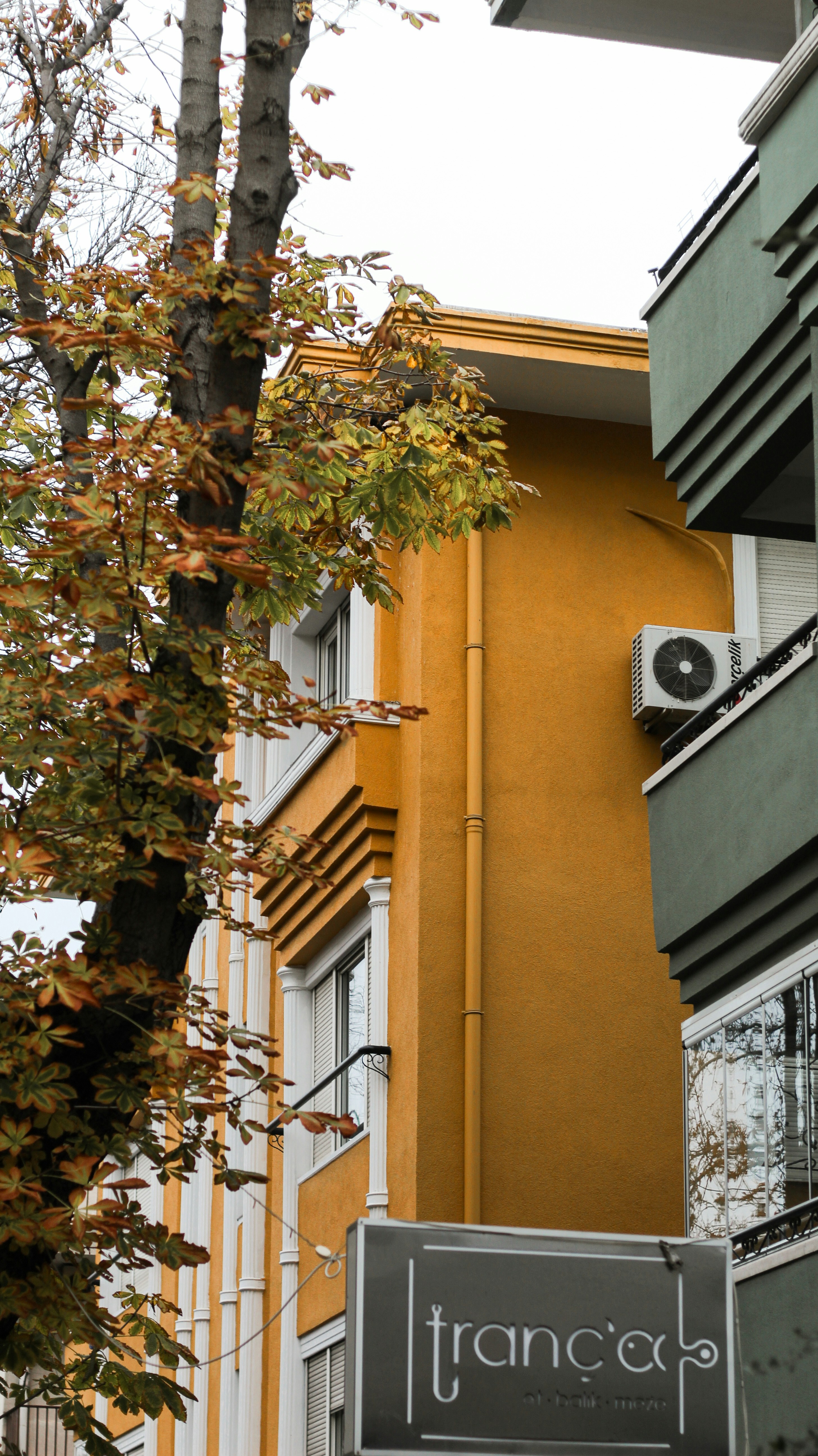 Photo by esrakorkmaz