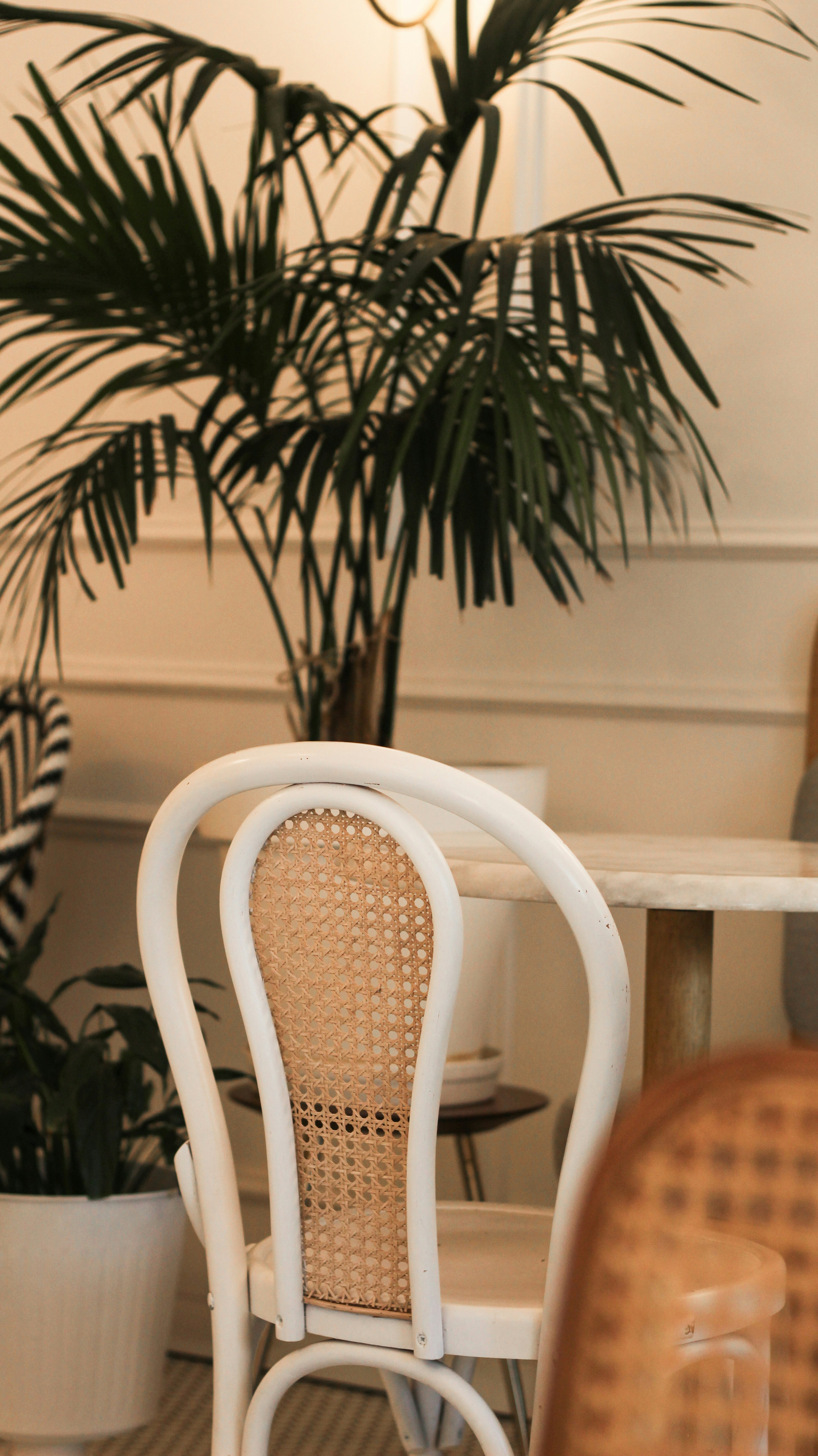 Photo by esrakorkmaz