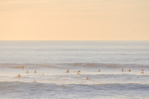A group of participants catching early morning waves under a soft sunrise glow