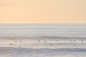 A group of participants catching early morning waves under a soft sunrise glow