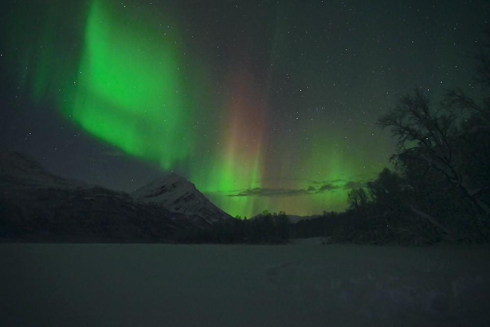 a green and red aurora bore in the night sky