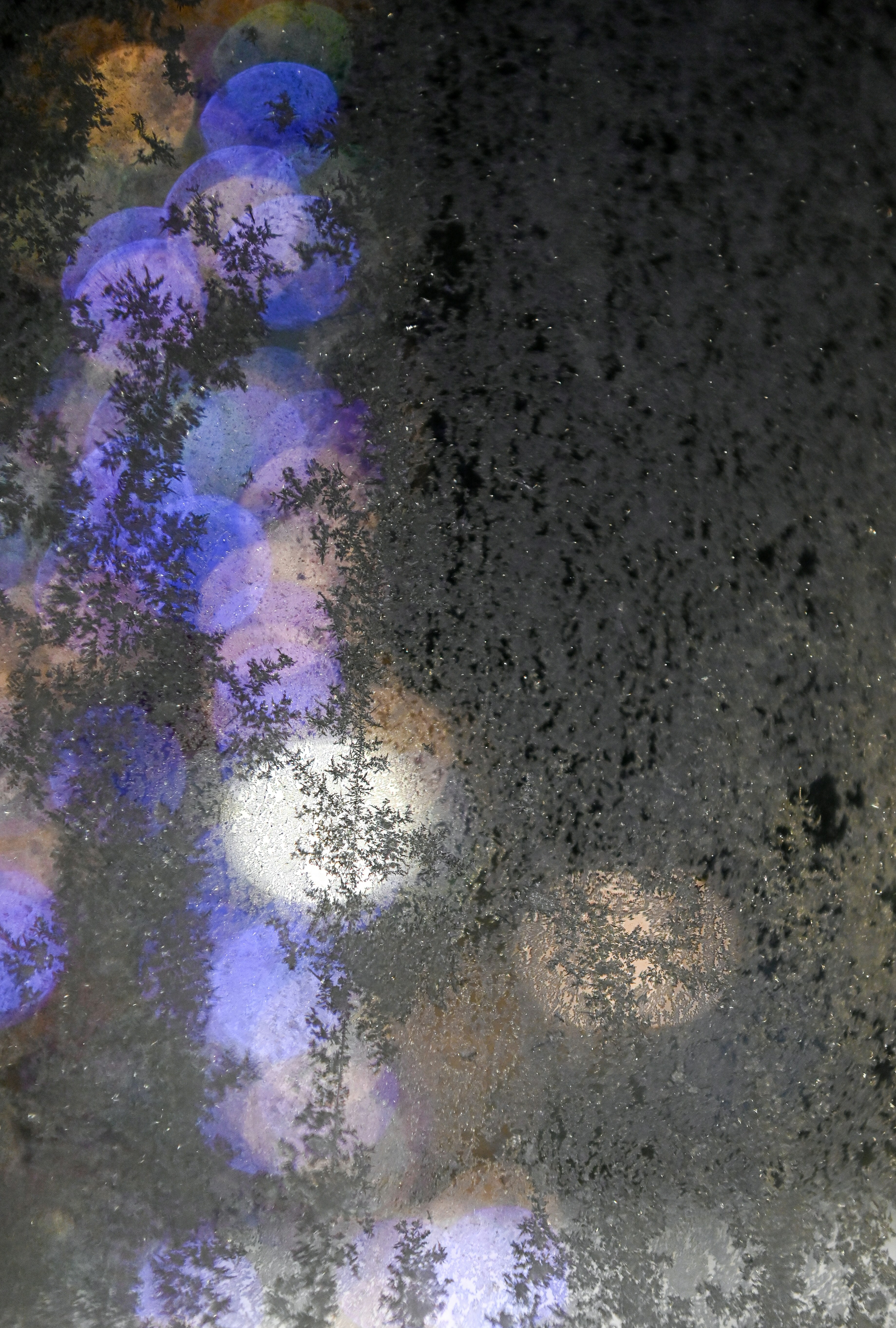 Photo by alexandra_p_d