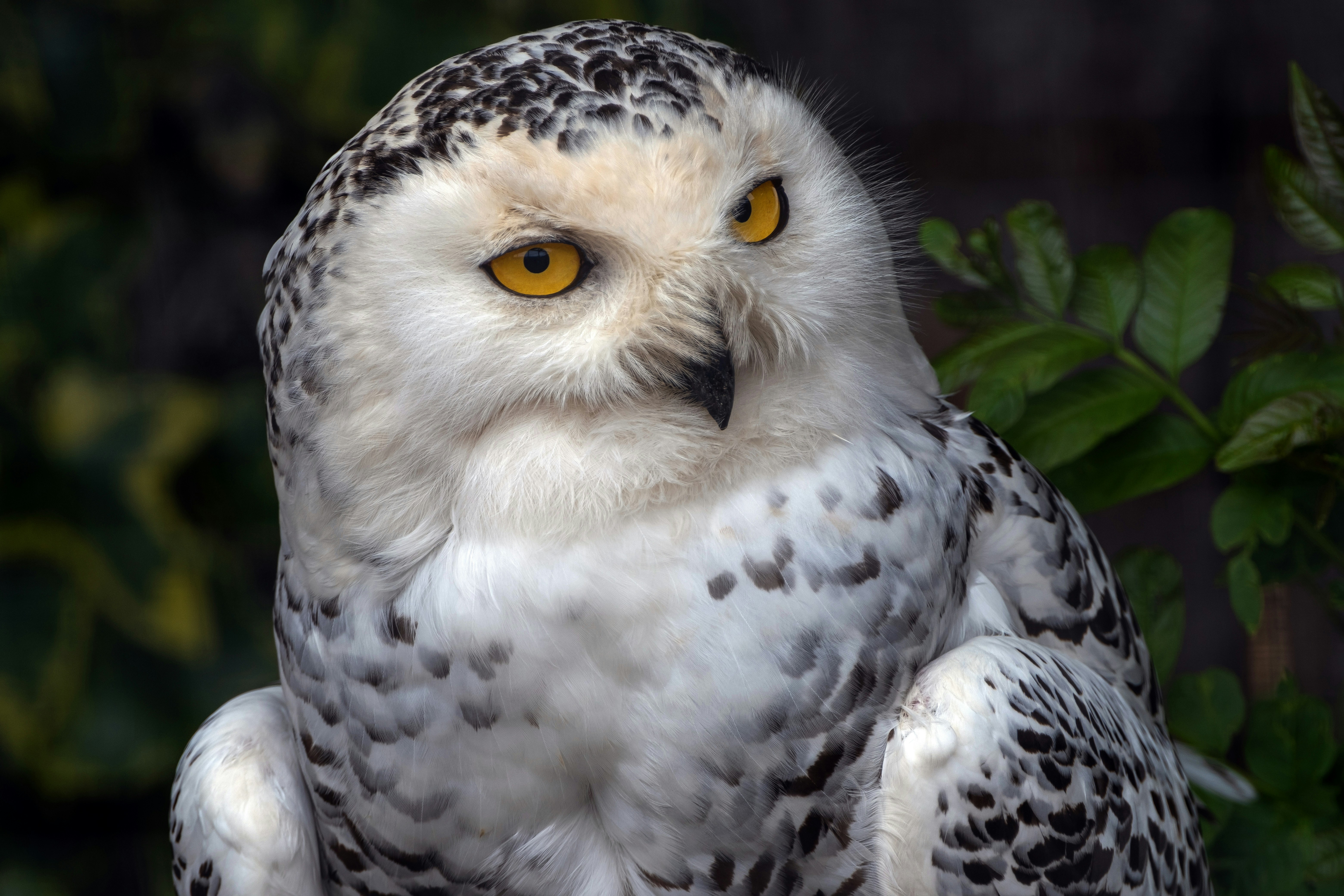 Photo by philrobson100