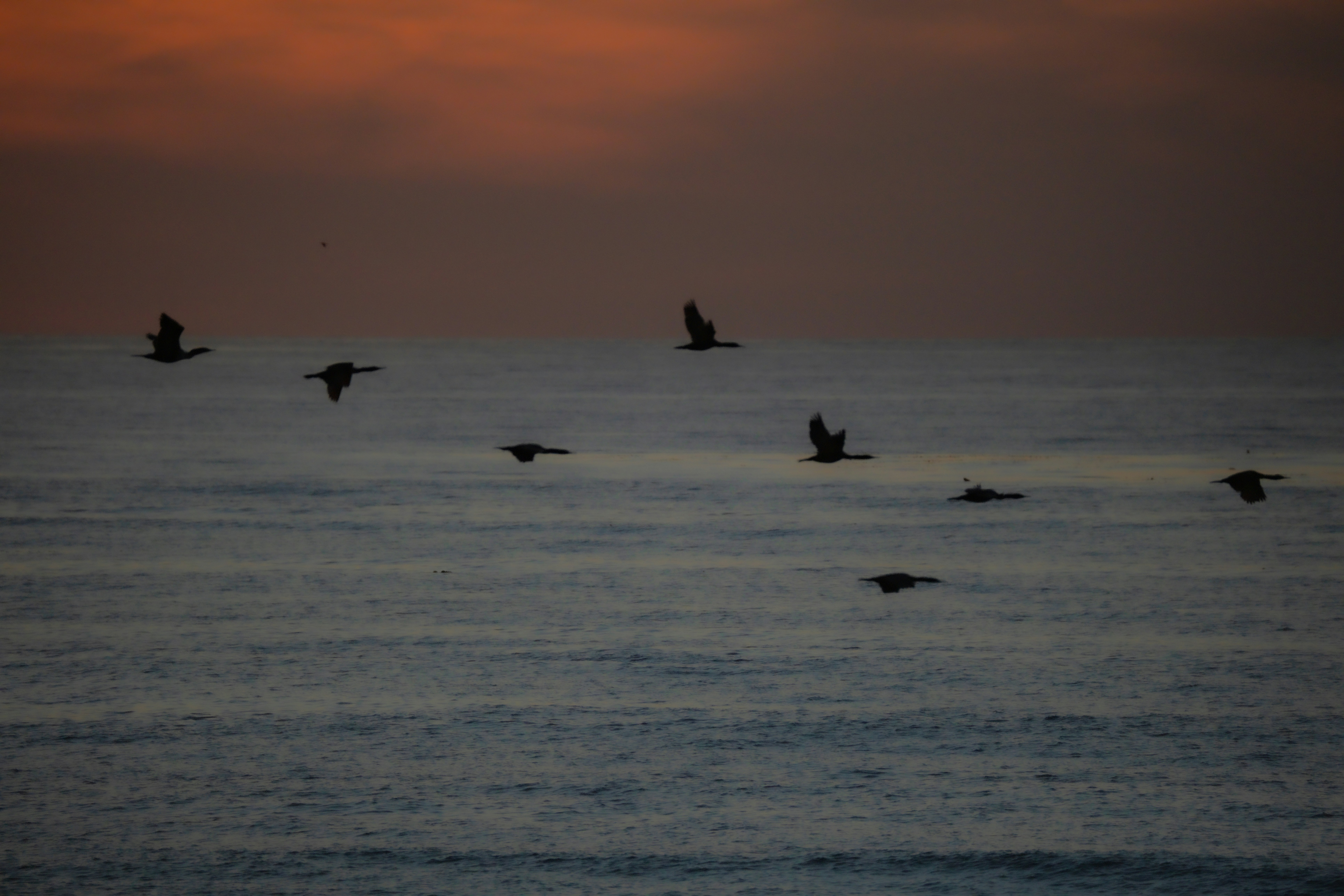 Photo by cestmoisheedy